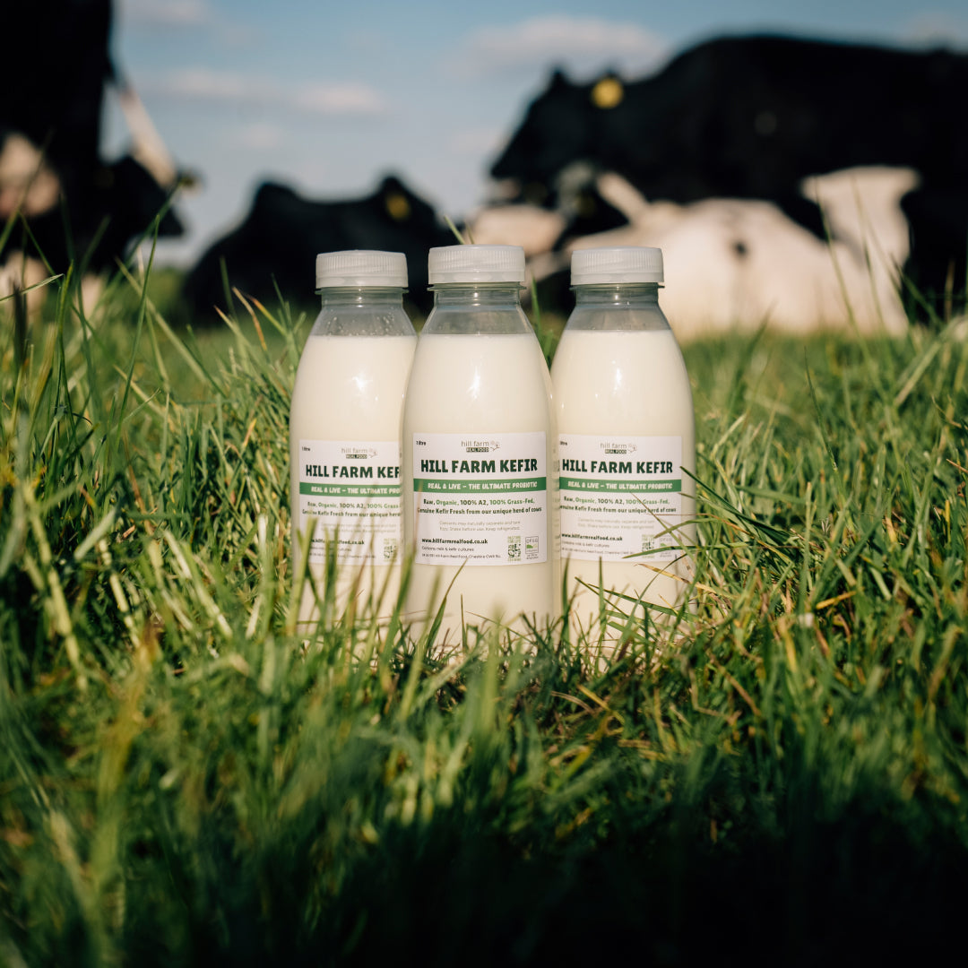 HILL FARM KEFIR 500ml x 7 Bottle Bundle (INCLUDES COURIER DELIVERY)