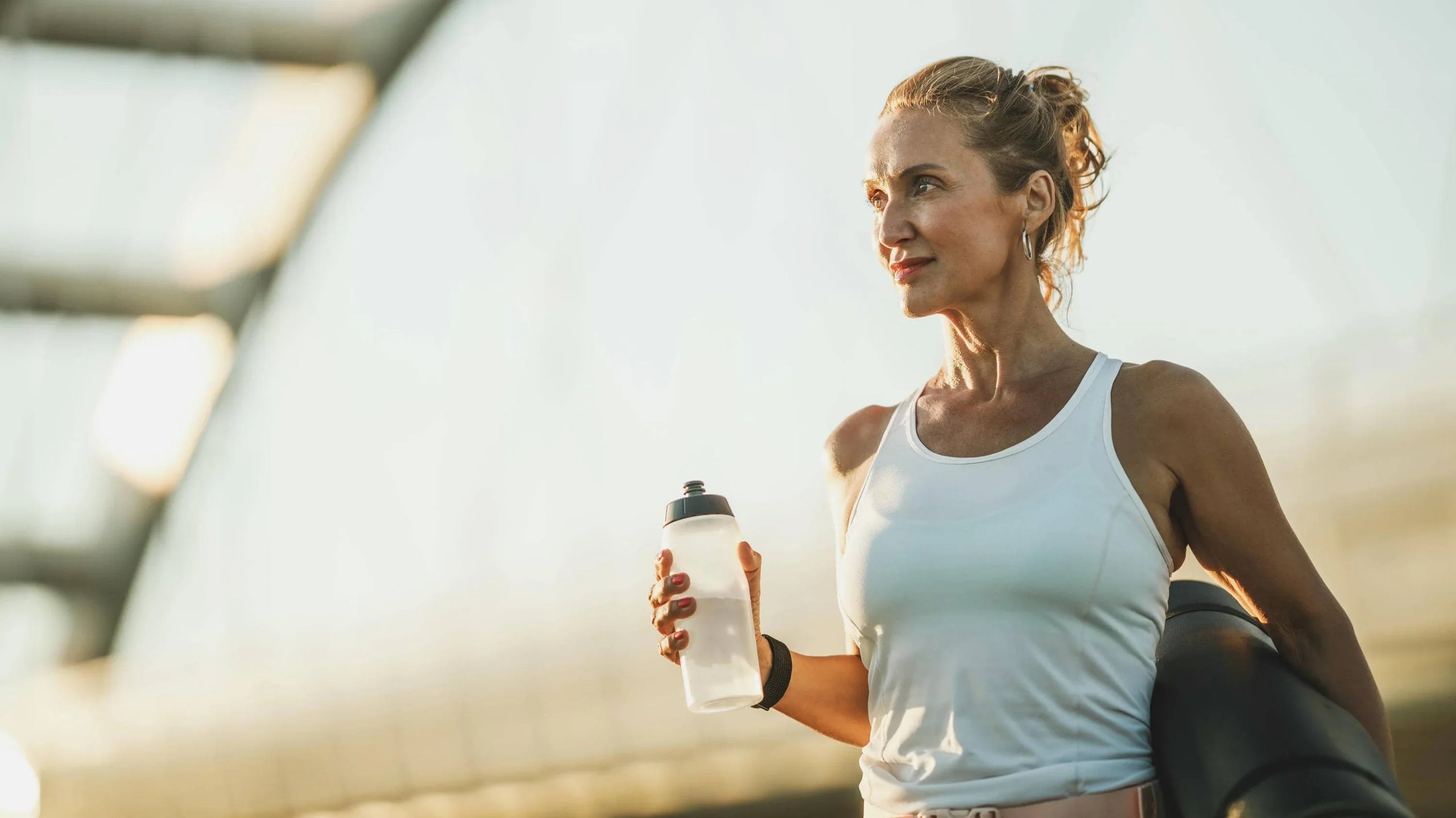 Longevity Supplements