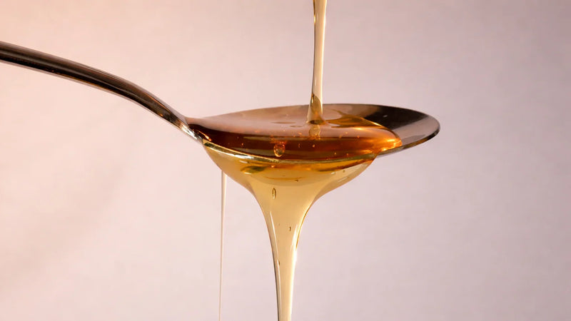 Gut Health & Probiotics Supplements - The Hackers Market