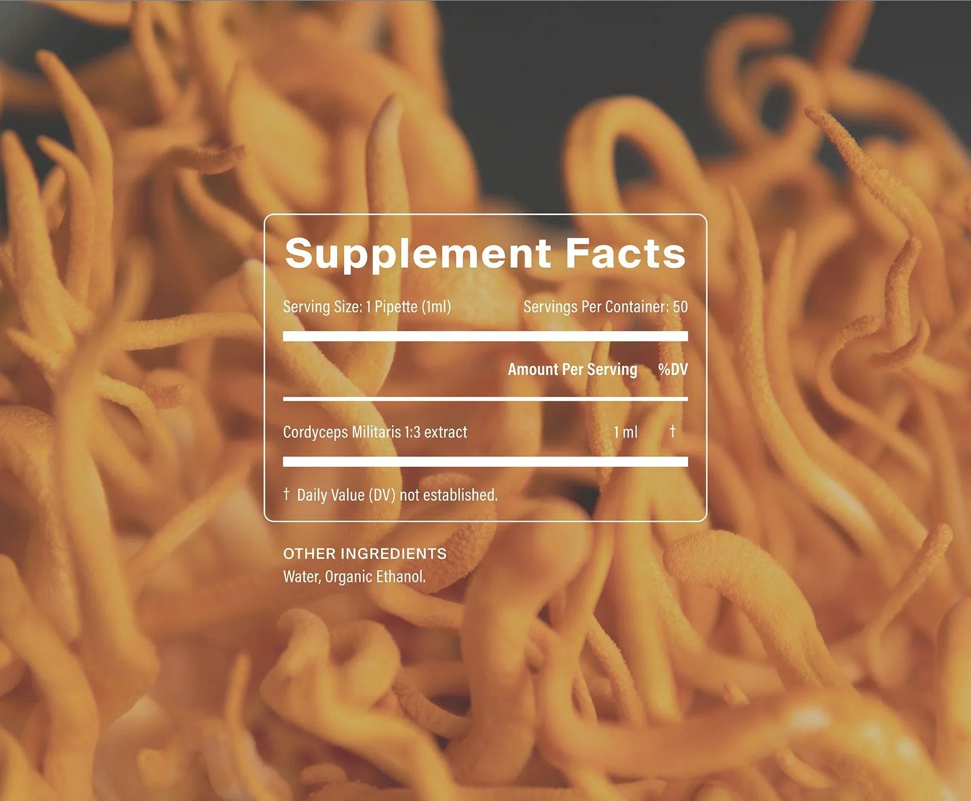 Organic Cordyceps by Manapura | The Hackers Market