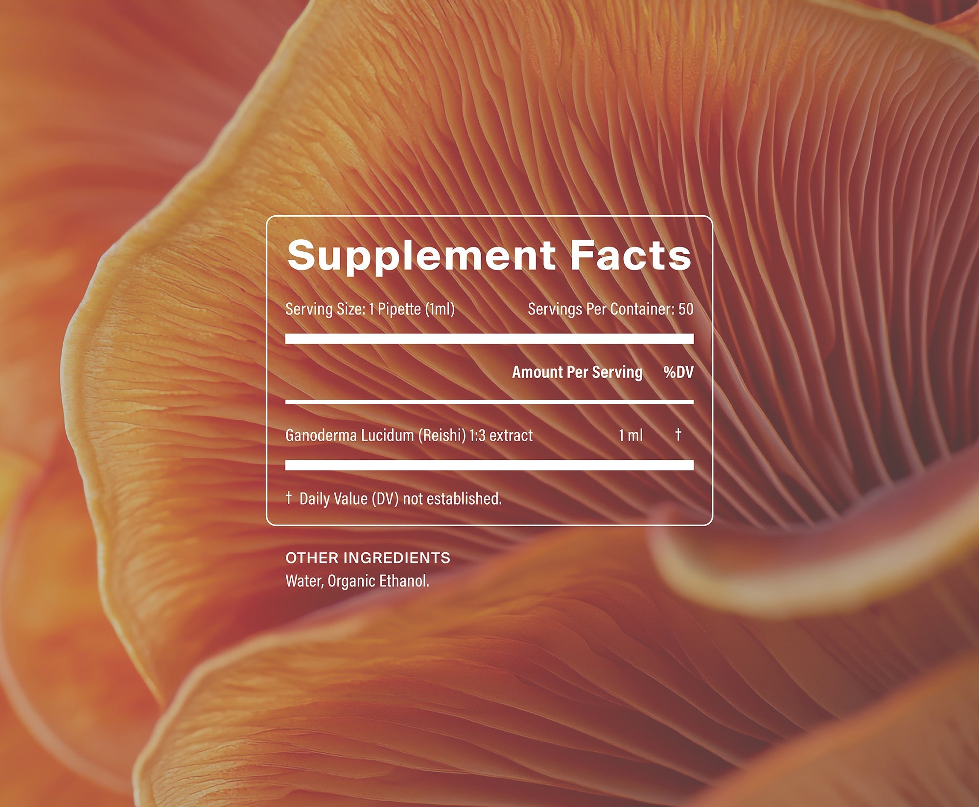 Organic Reishi