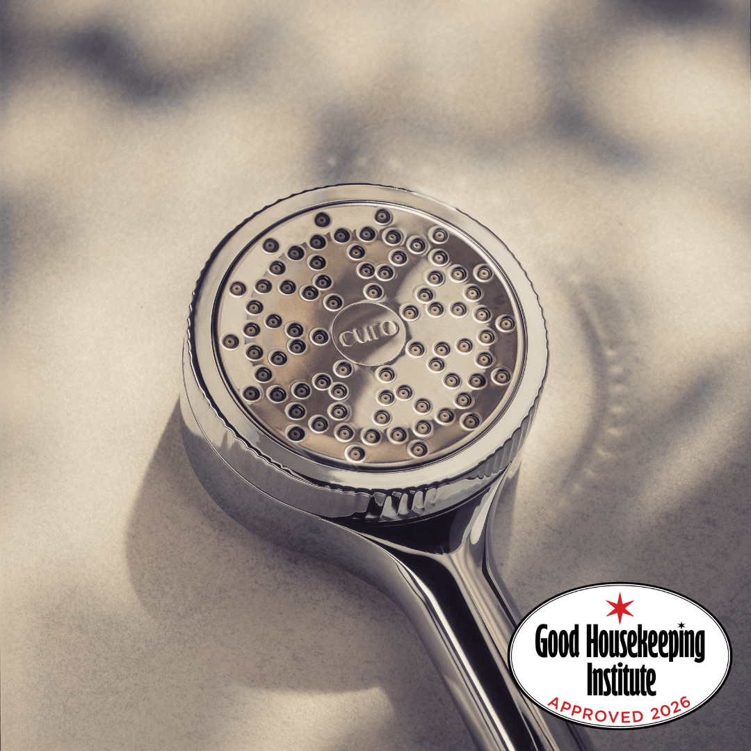 Filtered Shower Head
