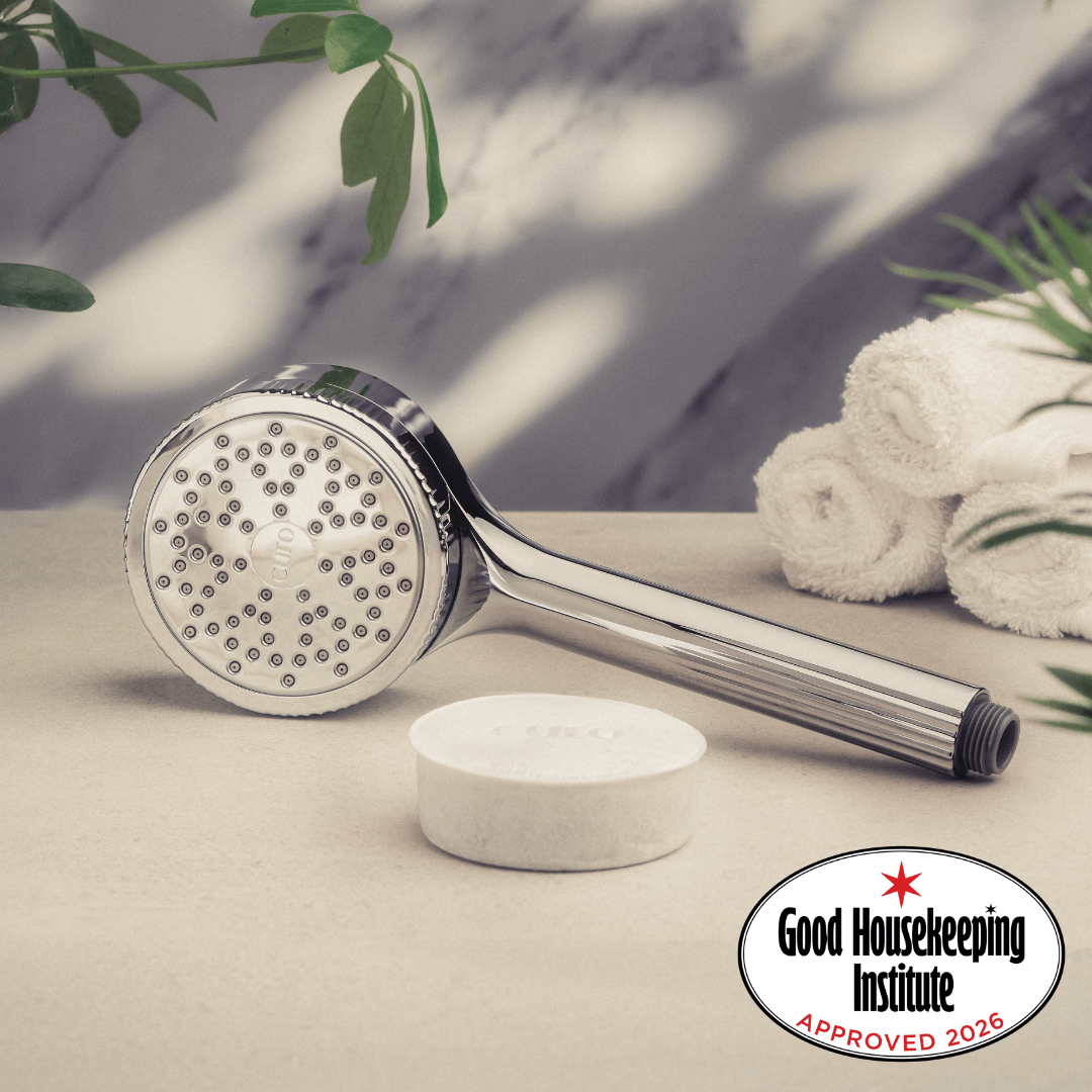 Filtered Shower Head