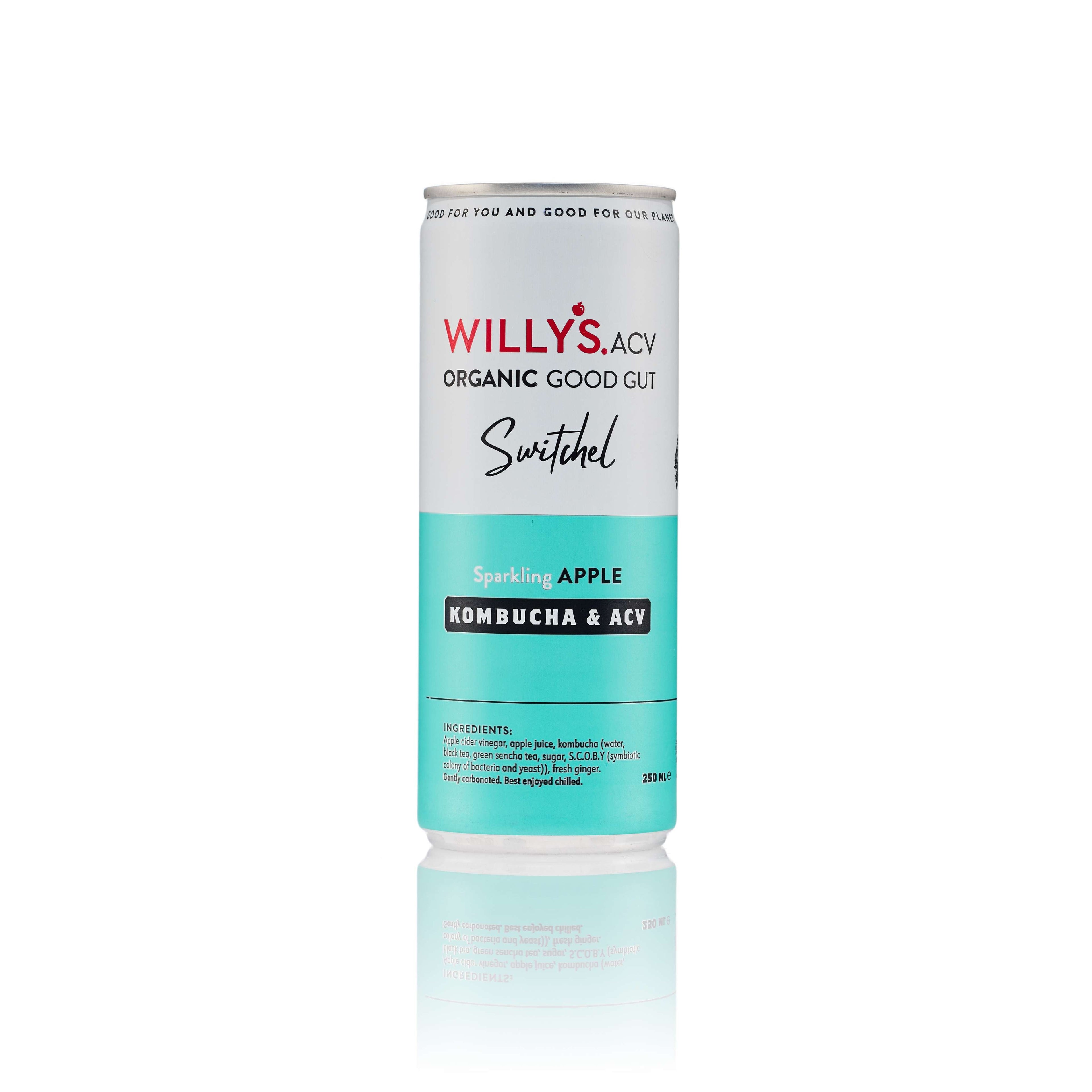 Willy's Organic Apple Switchel - 250ml by Willy's | The Hackers Market