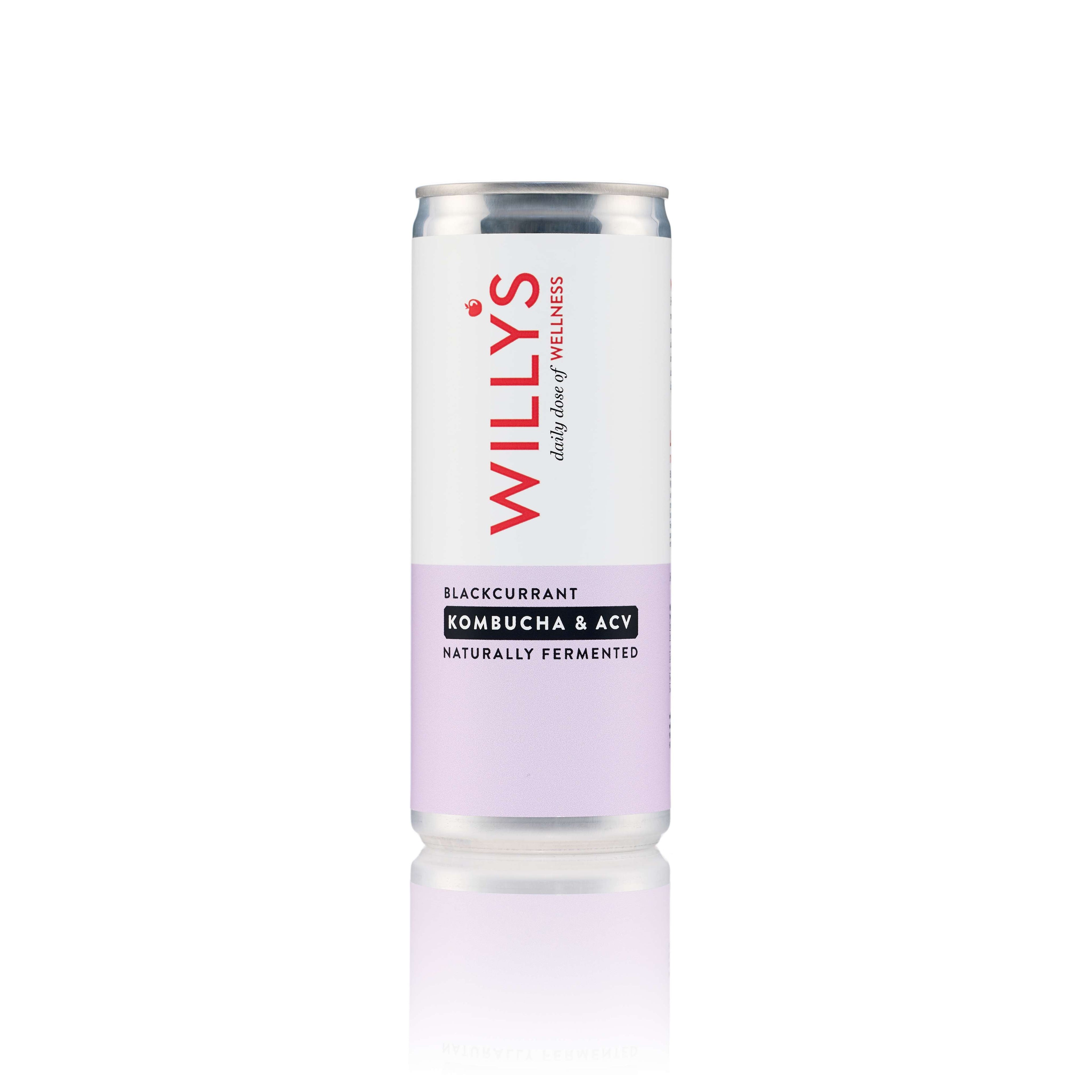 Willy's Blackcurrant Kombucha & ACV - 250ml by Willy's | The Hackers Market