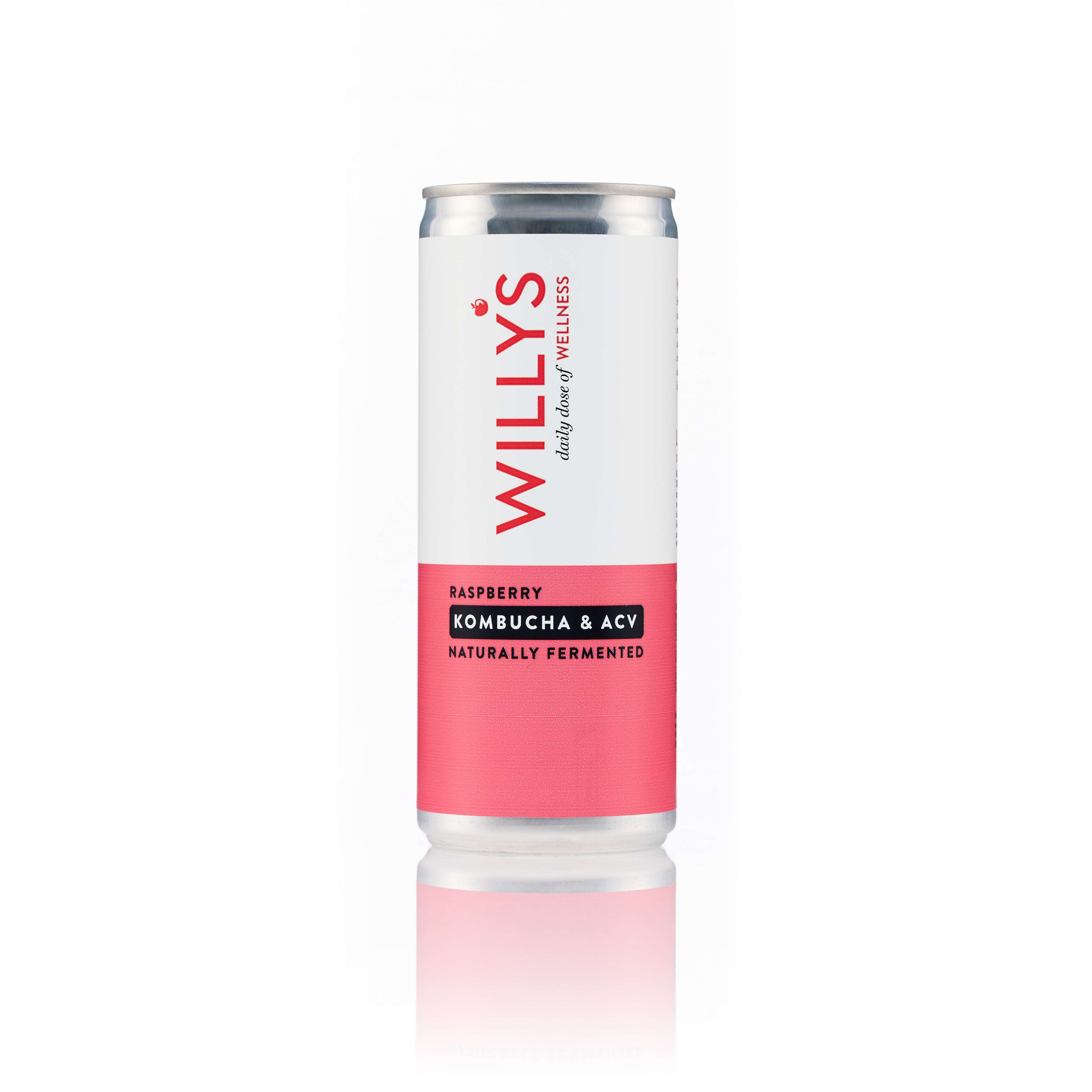 Willy's Raspberry Kombucha & ACV - 250ml by Willy's | The Hackers Market