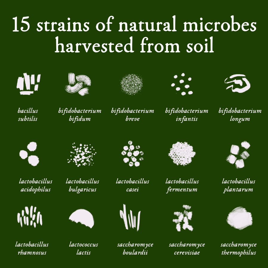 Illustrations of 15 strains of natural microbes harvested from soil on a green background.