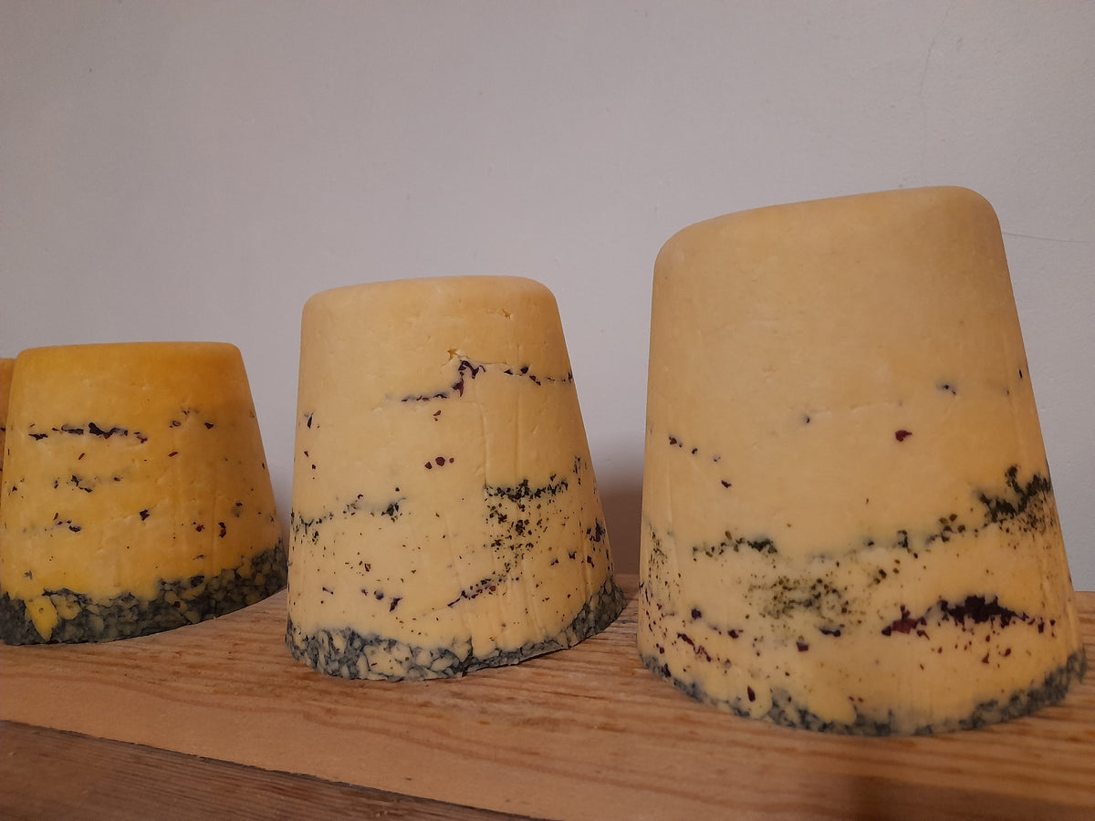 Raw Seaside Cheddar (medium matured)