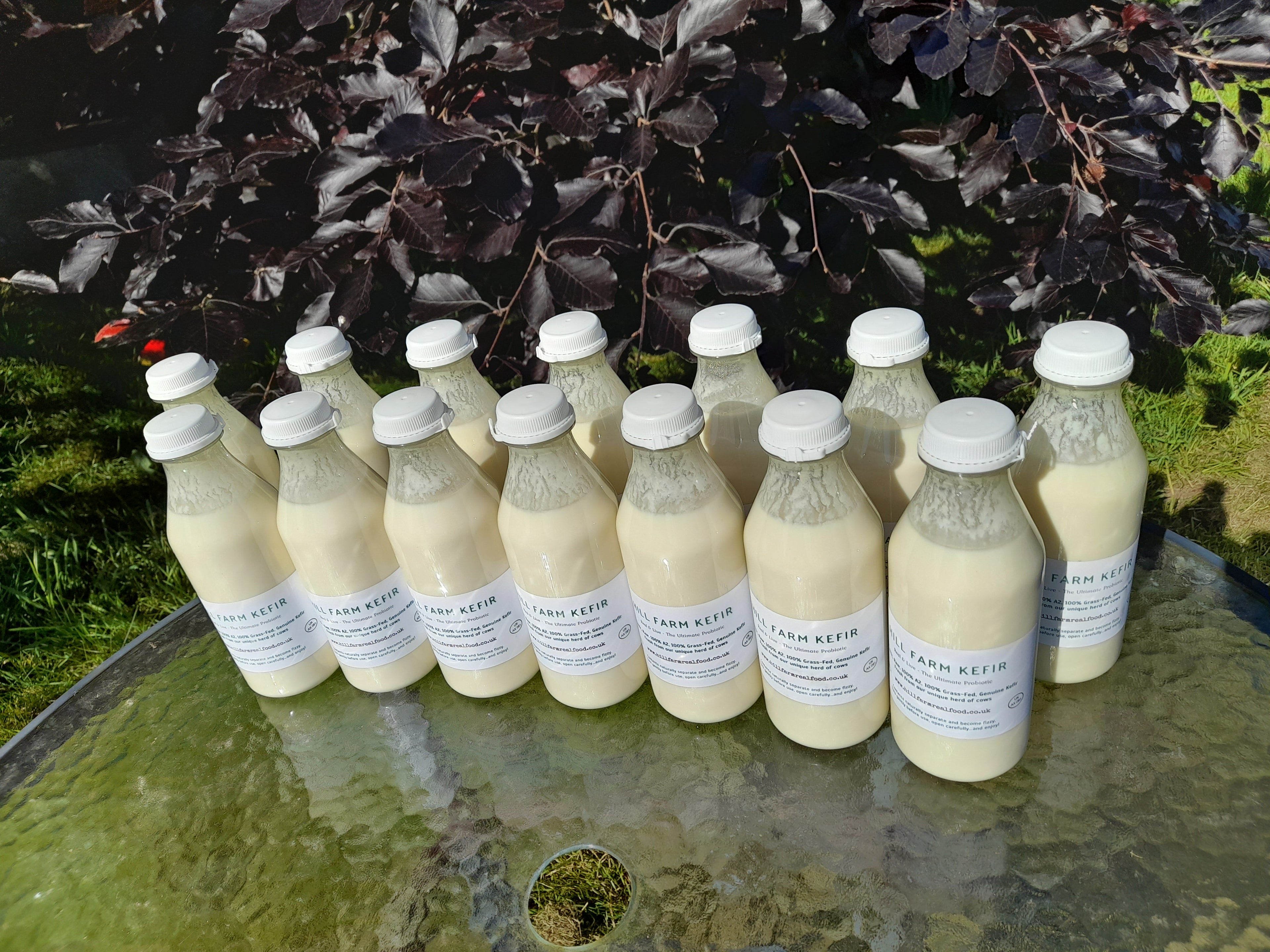HILL FARM KEFIR 500ml x 14 Bottle Bundle (INCLUDES COURIER DELIVERY)