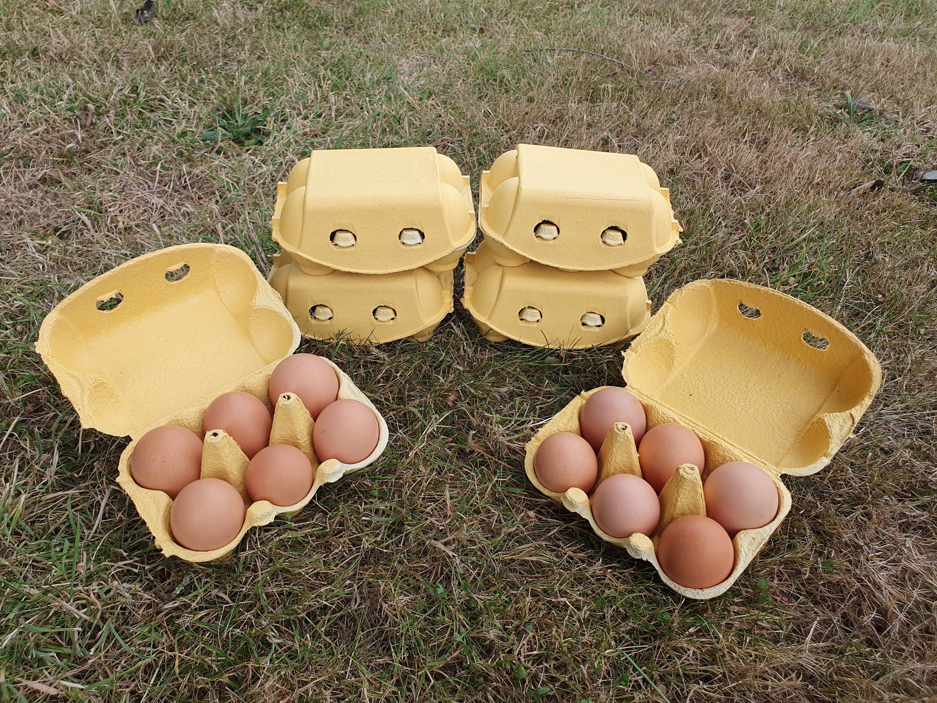 48-Egg Hill Farm Eggs bundle (INCLUDES COURIER DELIVERY)