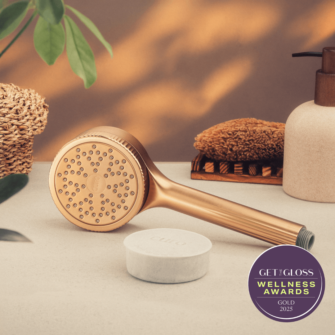 Filtered Shower Head