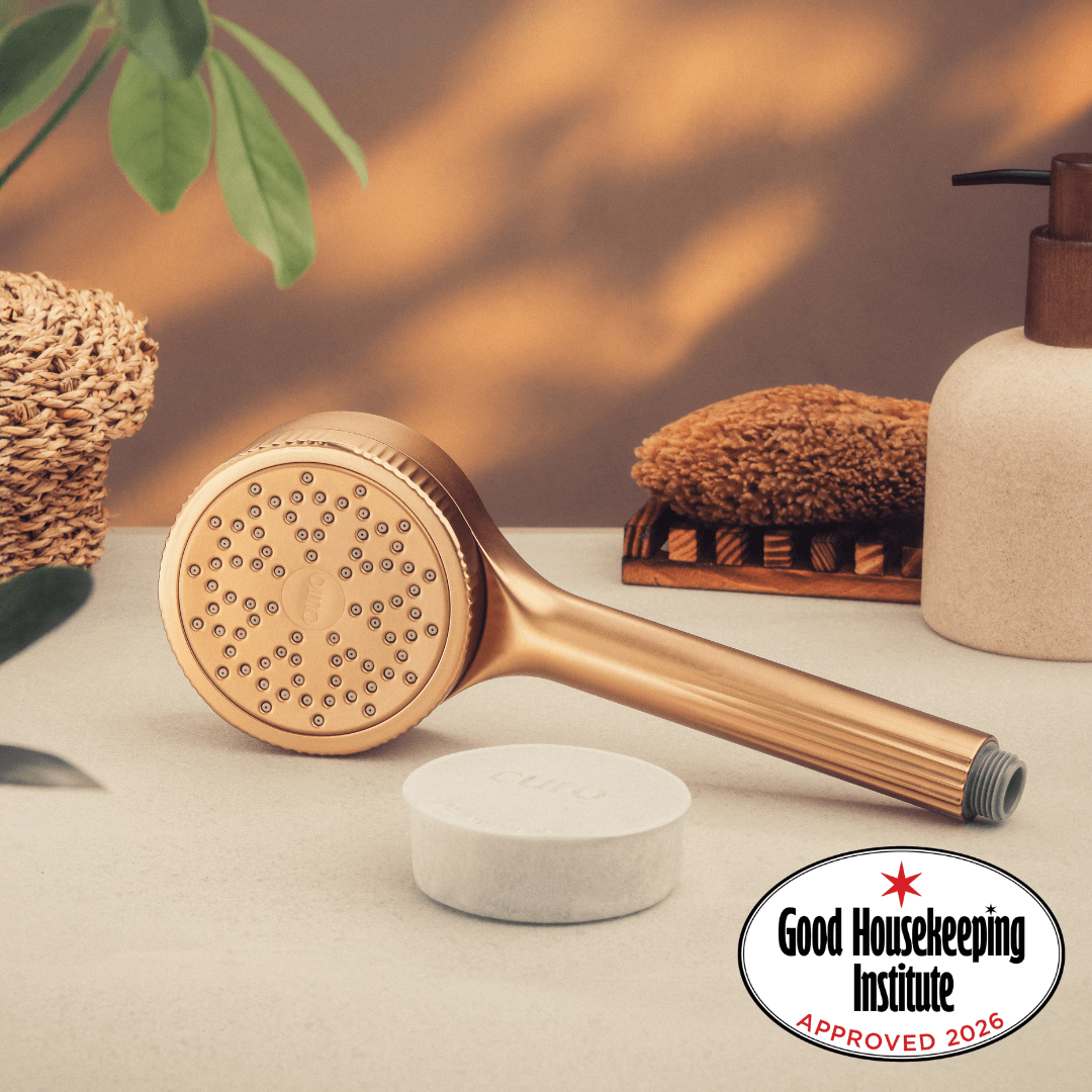 Filtered Shower Head