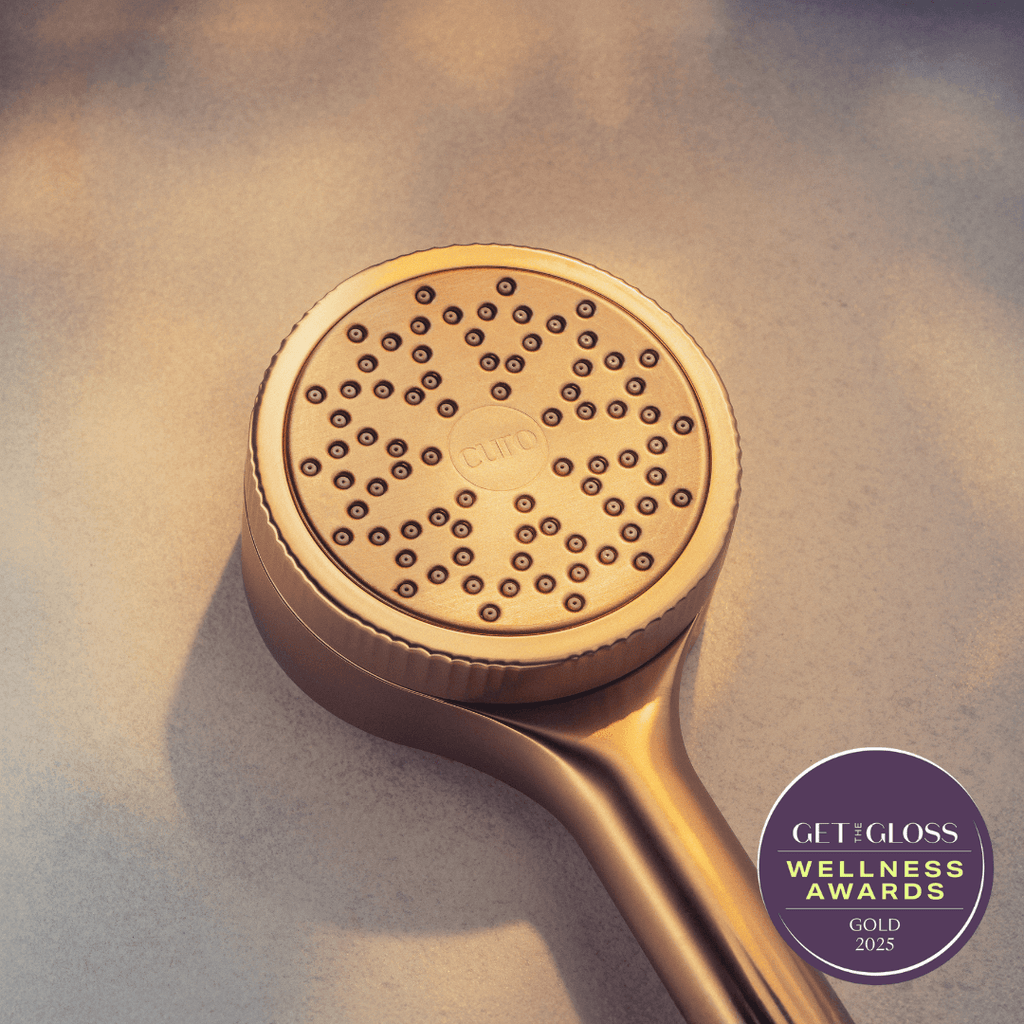 Filtered Shower Head