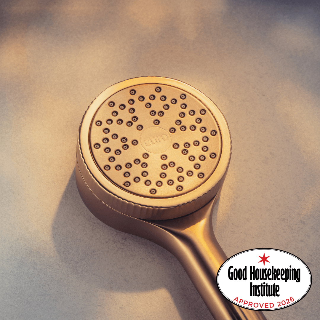 Filtered Shower Head