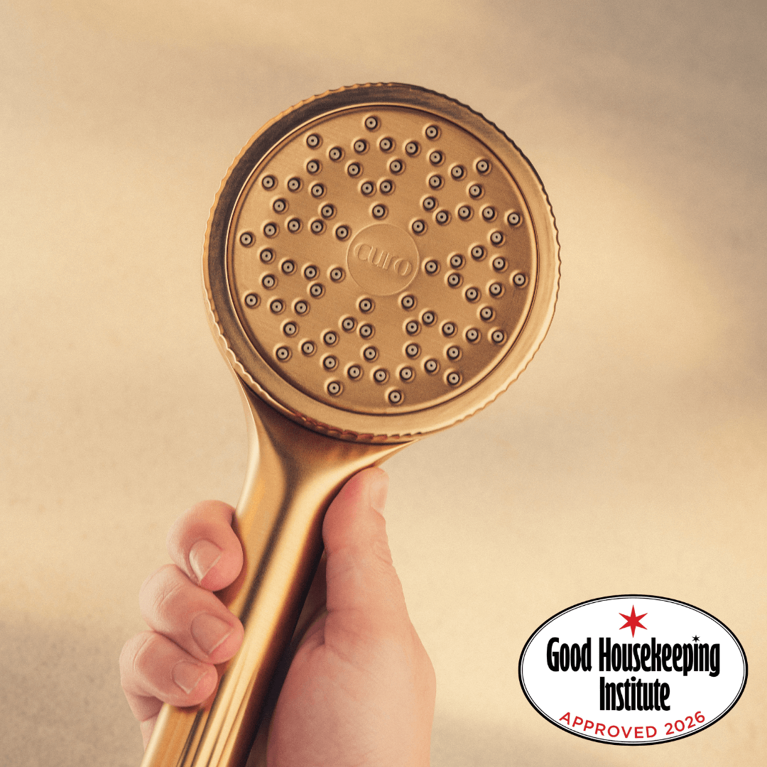 Filtered Shower Head