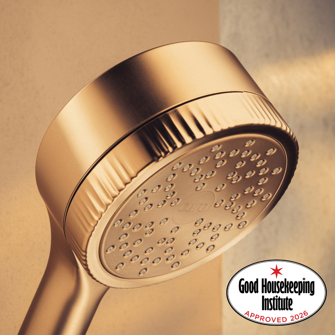 Filtered Shower Head