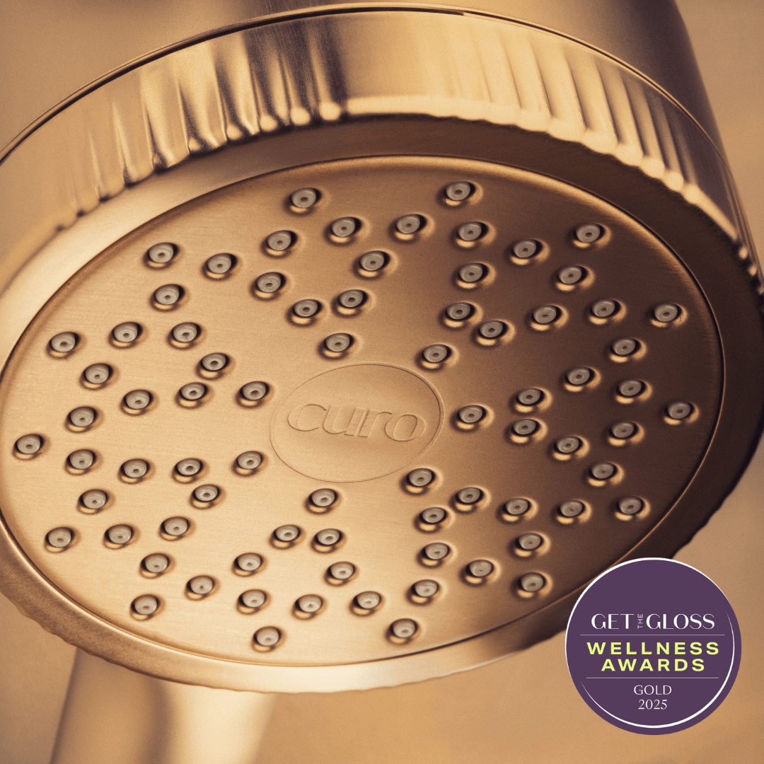 Filtered Shower Head