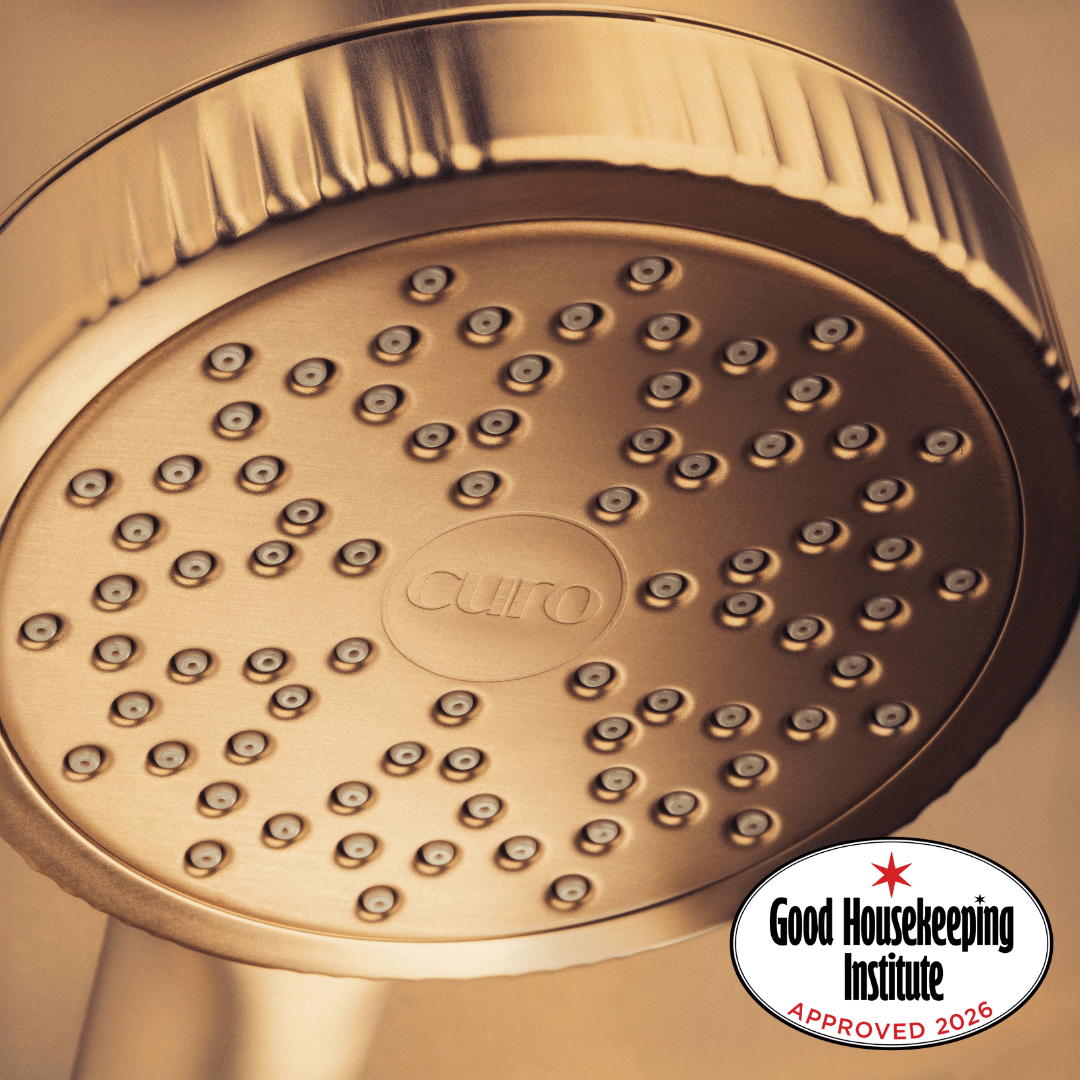 Filtered Shower Head