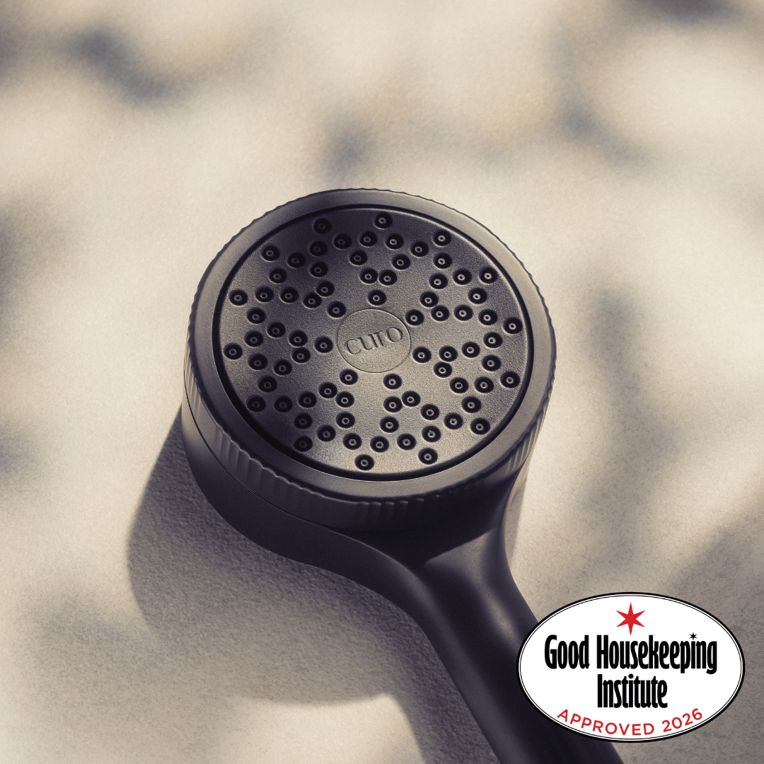Filtered Shower Head