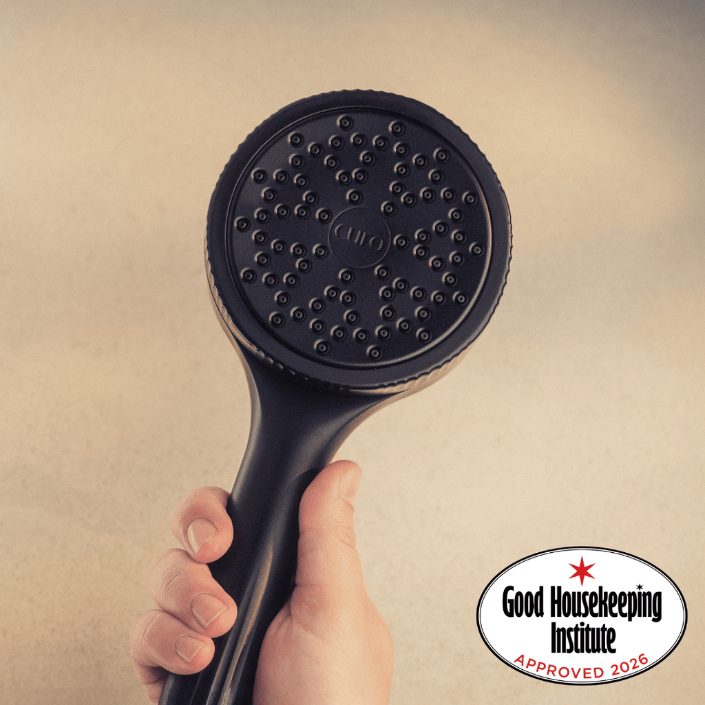 Filtered Shower Head