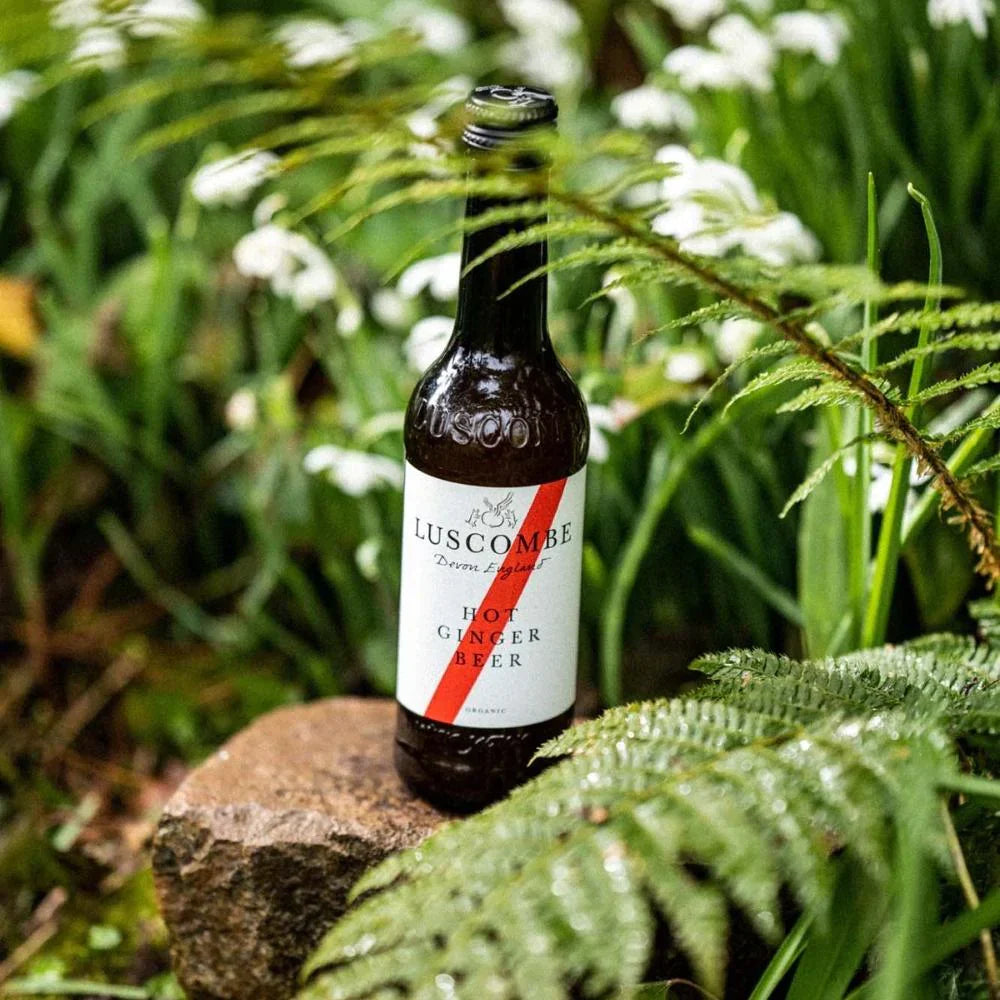 Hot Ginger Beer 270ml - Organic - Luscombe by Luscombe | The Hackers Market