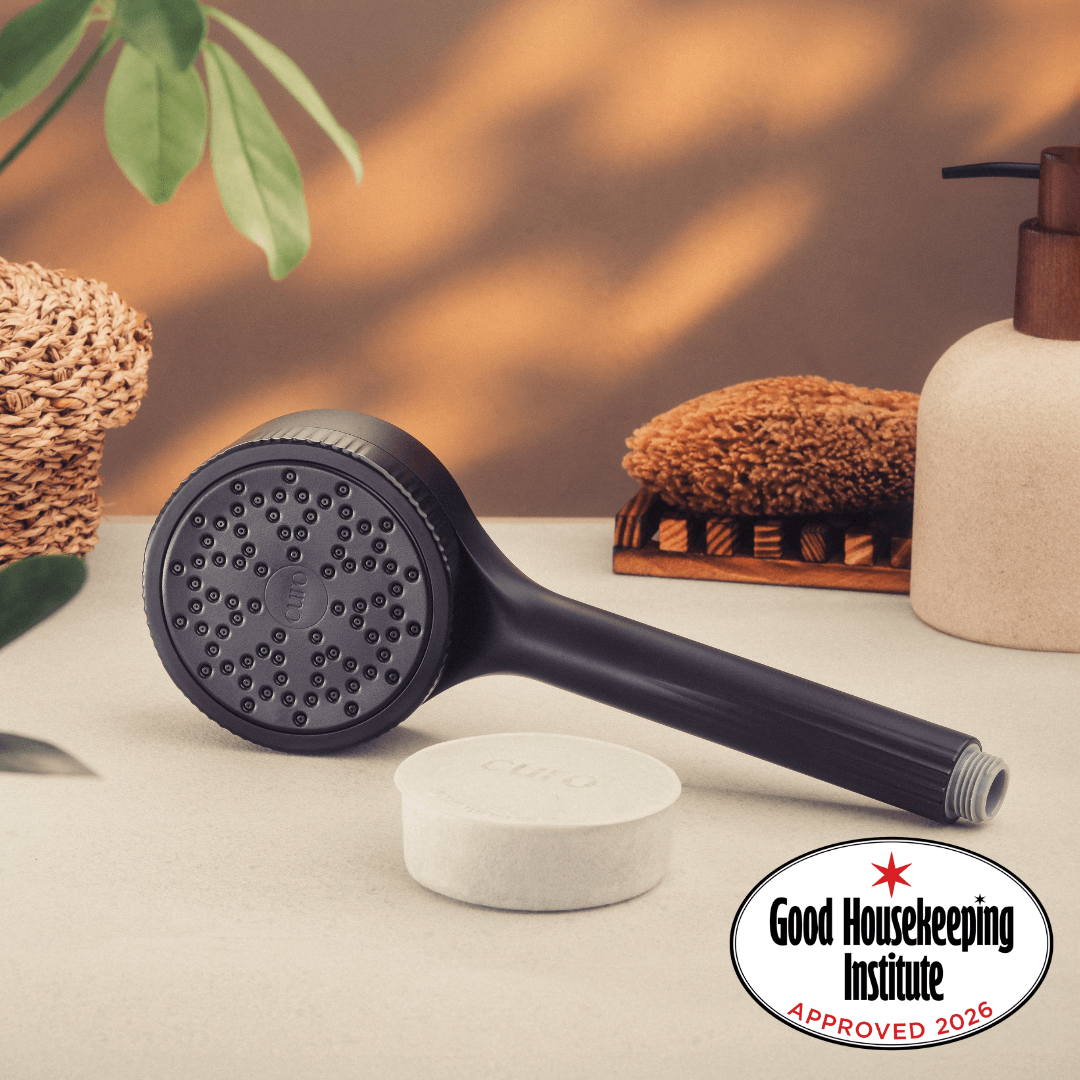 Filtered Shower Head