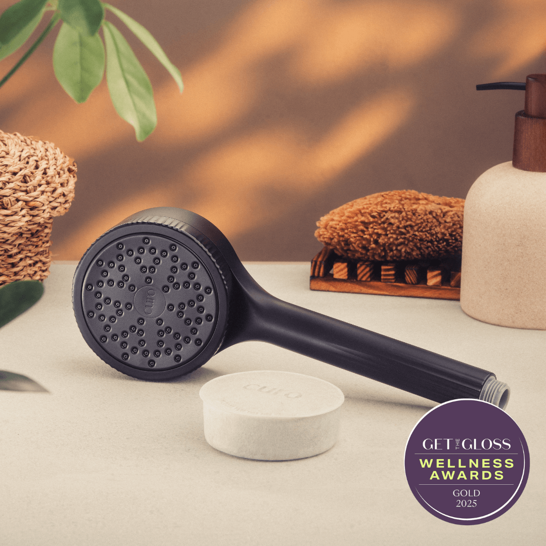 Filtered Shower Head