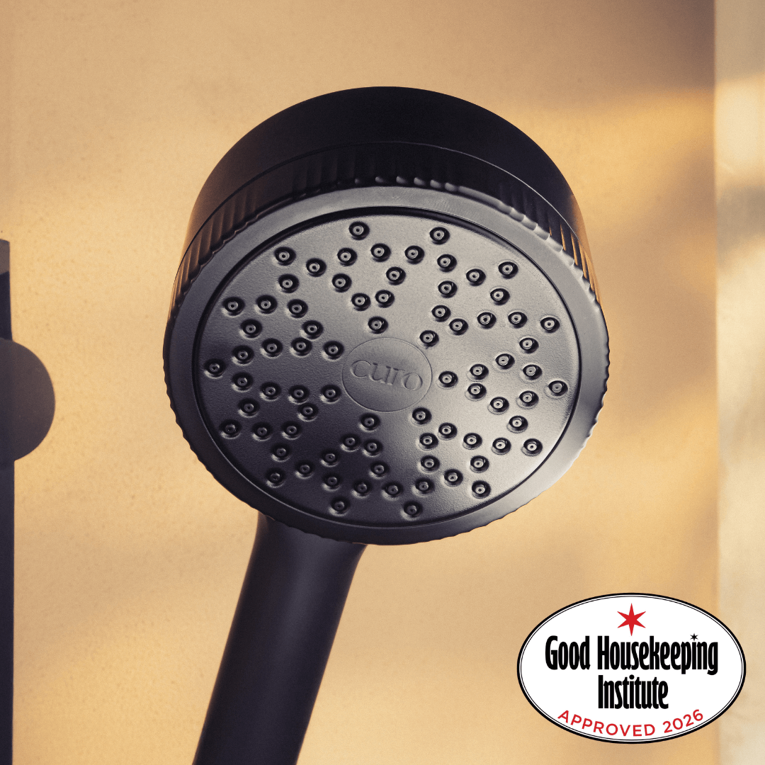 Filtered Shower Head