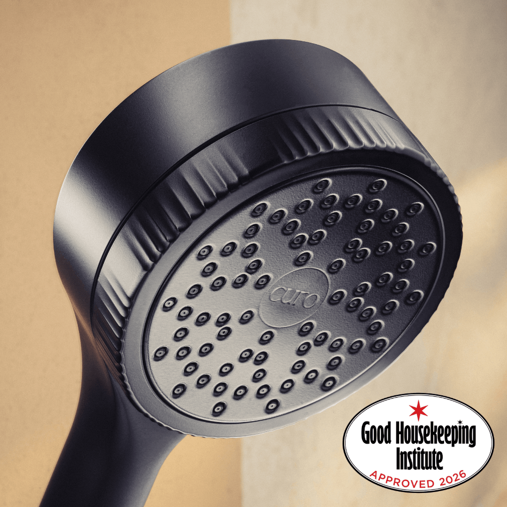 Filtered Shower Head