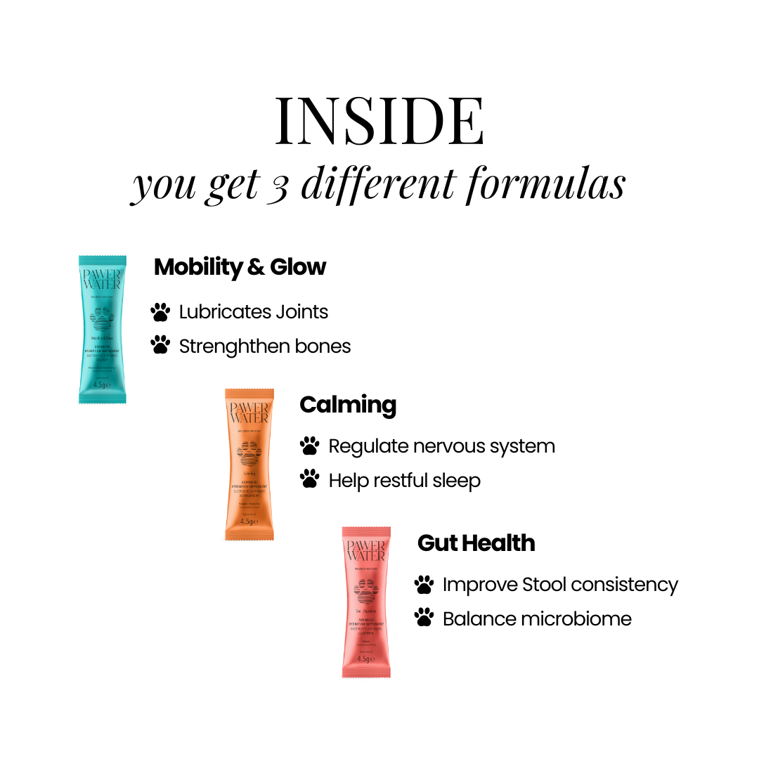 The Wellness Collection (7 Sticks Pouch) by Pawer Water | The Hackers Market