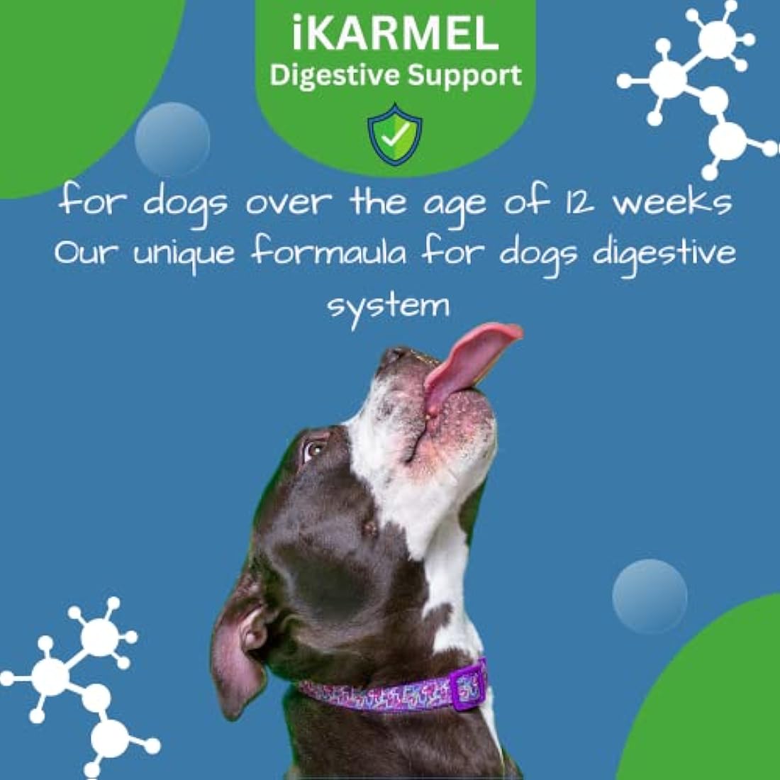 Doggy Dailies Probiotics for Dogs - Canine Supplements for Digestive and Immunity Support - Skin Health and Itch Support - Vitamin Treats - Veterinarian Formulated Probiotic by The Hackers Market | The Hackers Market