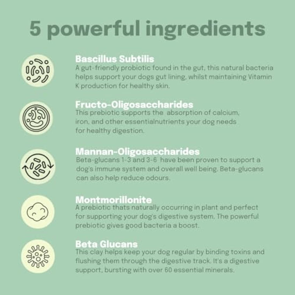 Buddy & Lola Joints and Tummy Bundle for Dogs - High CFU Count, Plant-Based Dog Probiotics for Gut Health - Dog Probiotic Powder with Prebiotics for Skin Health & Joint Support Supplement by The Hackers Market | The Hackers Market