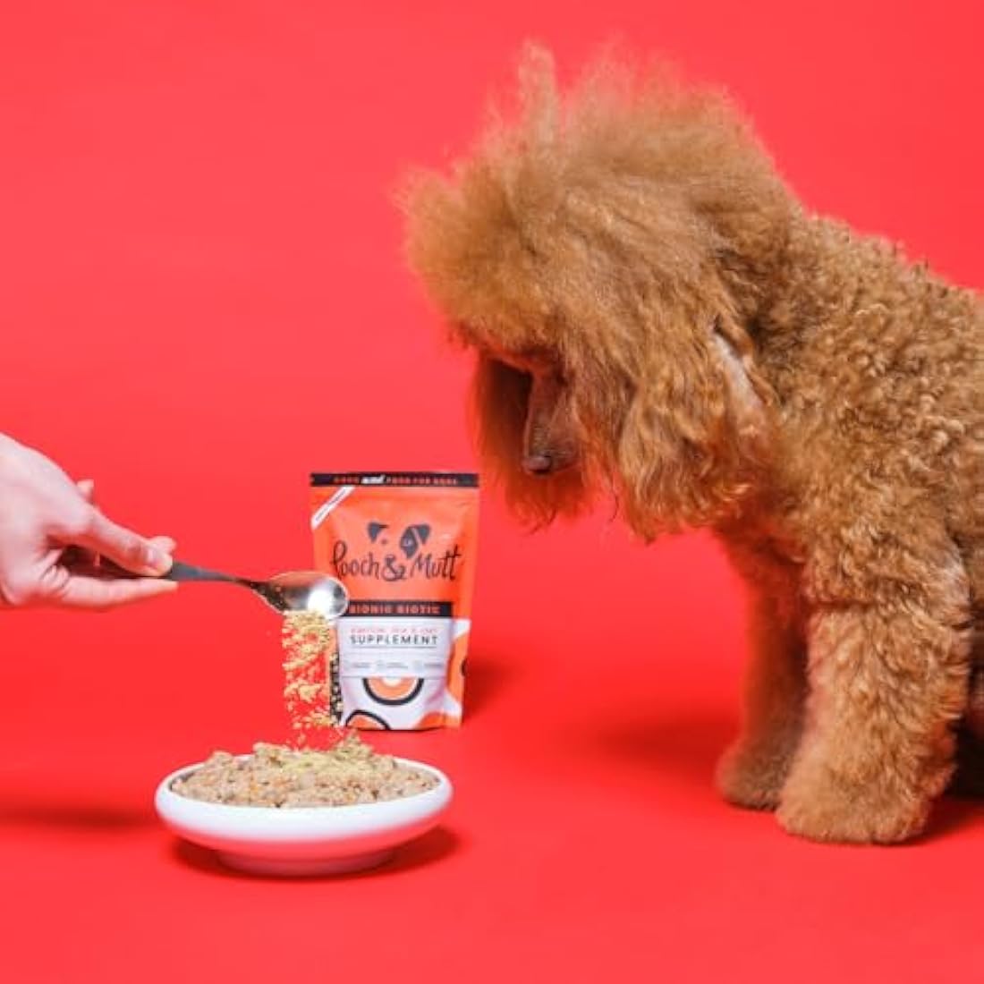 Pooch & Mutt - Bionic Biotic, Supplement for Dog Digestion (Healthy Skin and Glossy Coat), 200g by The Hackers Market | The Hackers Market