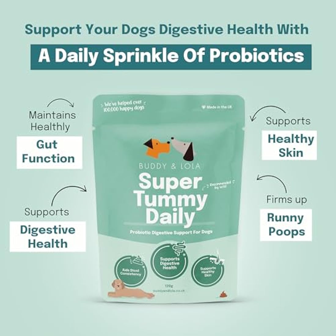 Buddy and Lola Probiotics for Dogs - High CFU Count, Plant-Based Dog Probiotics Powder for Gut Health and Skin Health - Essential Dog Soil Based Probiotic Supplement by The Hackers Market | The Hackers Market