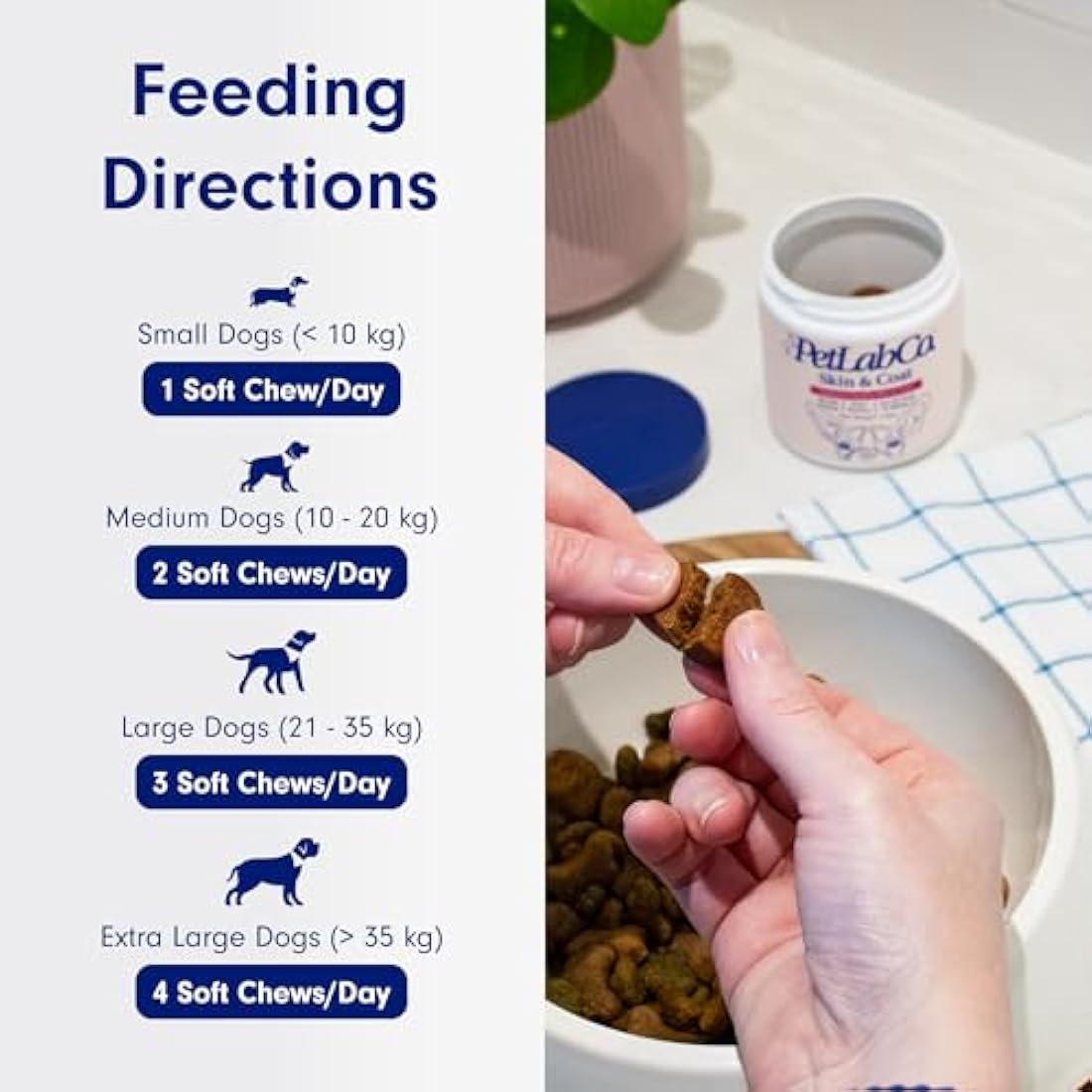 PetLab Co. Skin & Coat Chews - Support A Healthy, Comfortable Coat In Seconds A Day. Formulated With Beneficial Fatty Acids, Vitamins, Honey, & Turmeric To Optimize Skin and Coat Condition by The Hackers Market | The Hackers Market