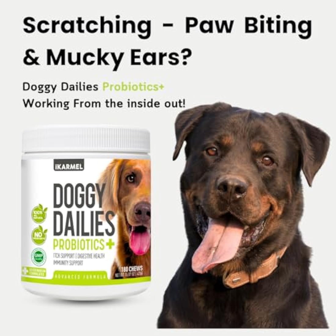 Doggy Dailies Probiotics for Dogs - Canine Supplements for Digestive and Immunity Support - Skin Health and Itch Support - Vitamin Treats - Veterinarian Formulated Probiotic by The Hackers Market | The Hackers Market