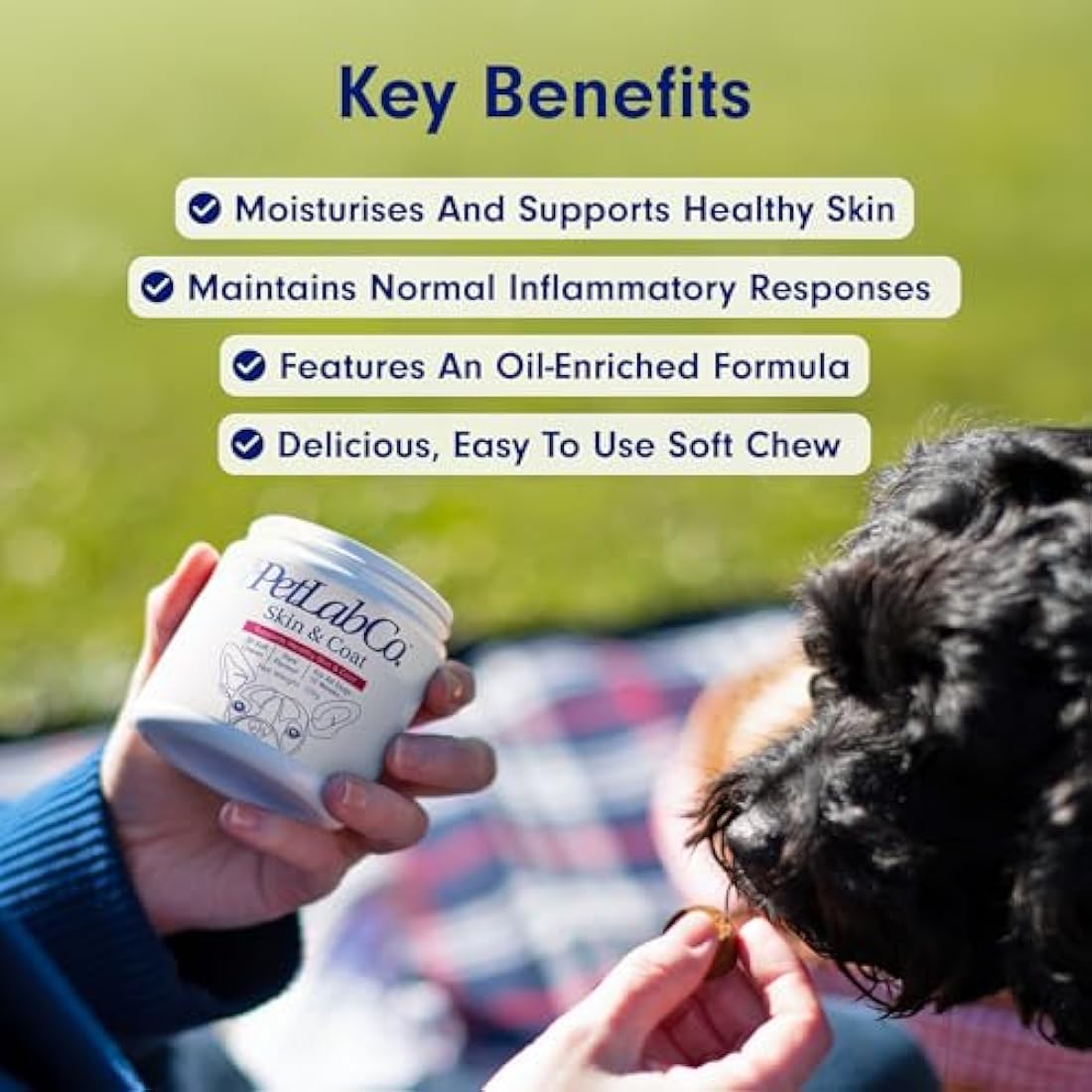 PetLab Co. Skin & Coat Chews - Support A Healthy, Comfortable Coat In Seconds A Day. Formulated With Beneficial Fatty Acids, Vitamins, Honey, & Turmeric To Optimize Skin and Coat Condition by The Hackers Market | The Hackers Market