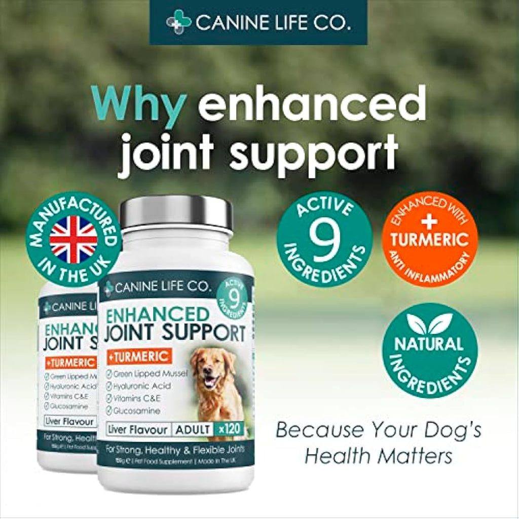 Enhanced Adult Dog Joint Supplements With Turmeric, Glucosamine & Green Lipped Mussel 300 Chewable Tablets Made In The UK - Canine Life Co. (1 Pot (300 Tablets)) by The Hackers Market | The Hackers Market