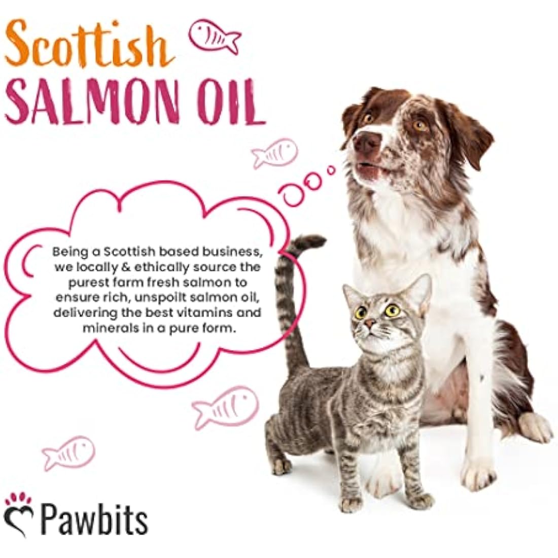 Pawbits 1 Litre Scottish Salmon Oil For Cats & Dogs - Natural Omega 3+6+9, Healthy Coat & Immune System Fish Oil by The Hackers Market | The Hackers Market