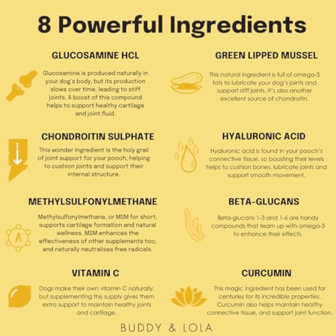 Buddy & Lola Joints and Tummy Bundle for Dogs - High CFU Count, Plant-Based Dog Probiotics for Gut Health - Dog Probiotic Powder with Prebiotics for Skin Health & Joint Support Supplement by The Hackers Market | The Hackers Market