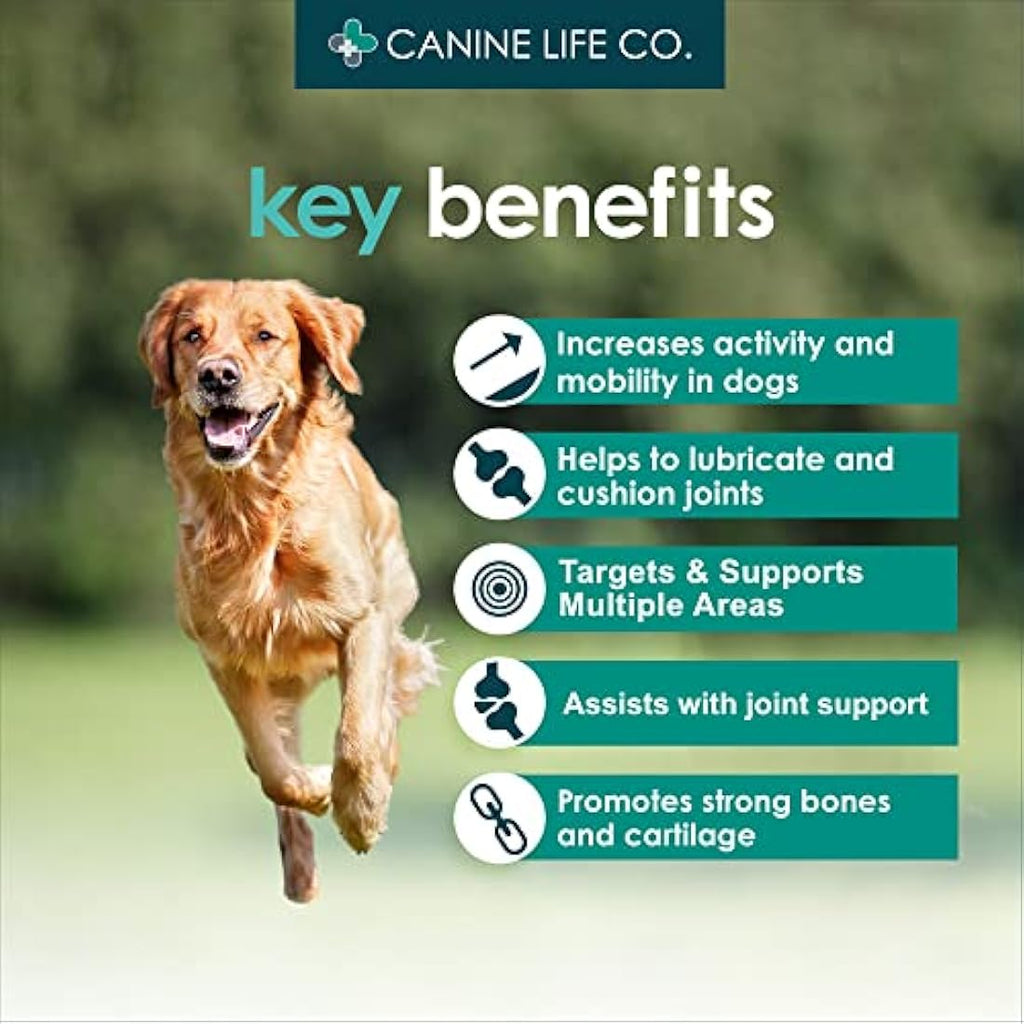 Enhanced Adult Dog Joint Supplements With Turmeric, Glucosamine & Green Lipped Mussel 300 Chewable Tablets Made In The UK - Canine Life Co. (1 Pot (300 Tablets)) by The Hackers Market | The Hackers Market