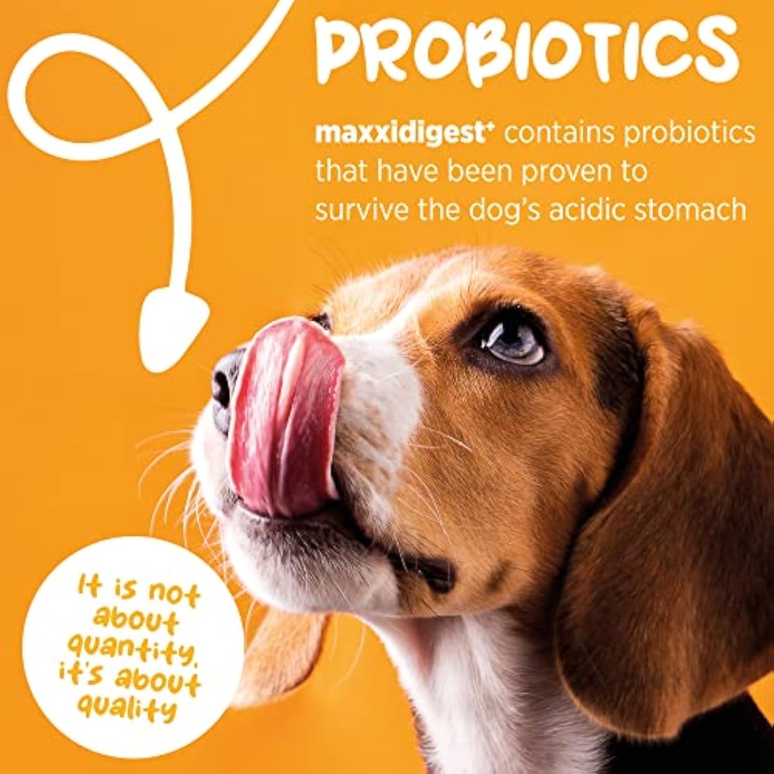 maxxipaws maxxidigest+ Probiotic & Prebiotic Powder Supplement - Digestive & Immune Support for Dogs, 200g by The Hackers Market | The Hackers Market