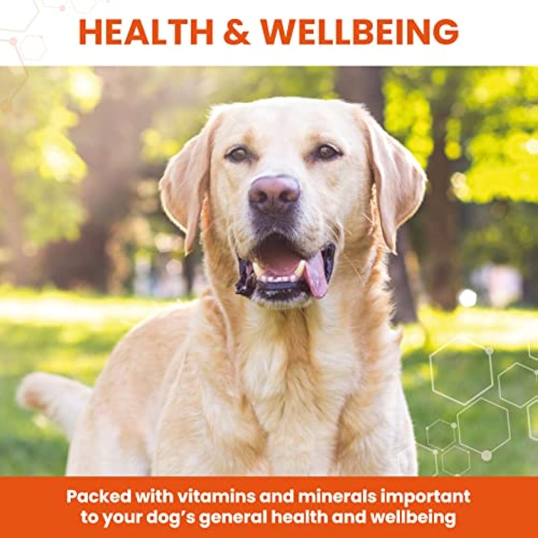 Vetzyme Once A Day Conditioning Tablets for Dogs (240 Tablets) - With B Complex Vitamins to Promote Fitness and Support a Healthy Immune System by The Hackers Market | The Hackers Market