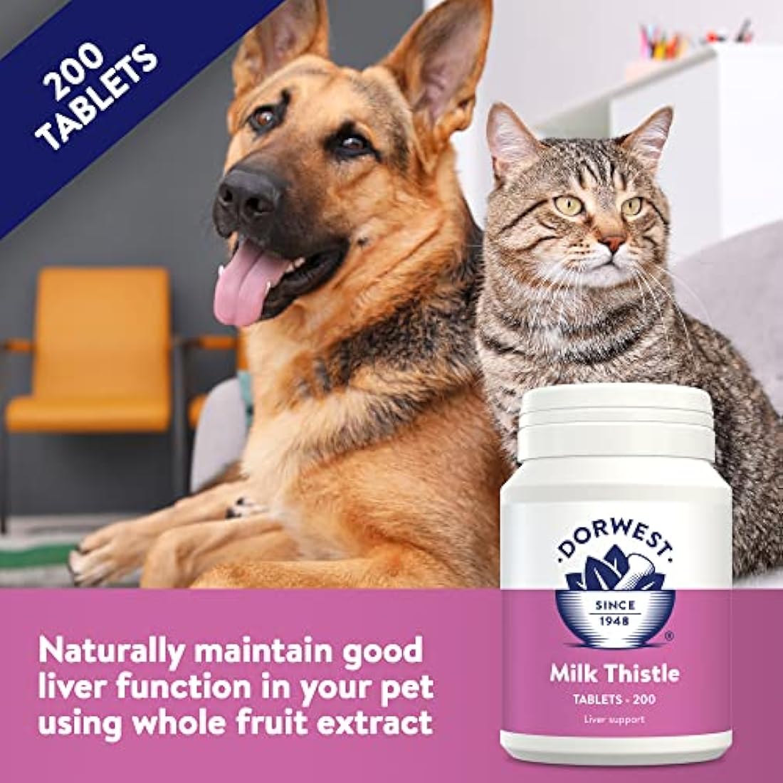 Dorwest Milk Thistle Tablets for Dogs and Cats, 200 Tablets, Supports Liver Function, Antioxidant for Dogs, Immune System Heath, Natural Supplement by The Hackers Market | The Hackers Market