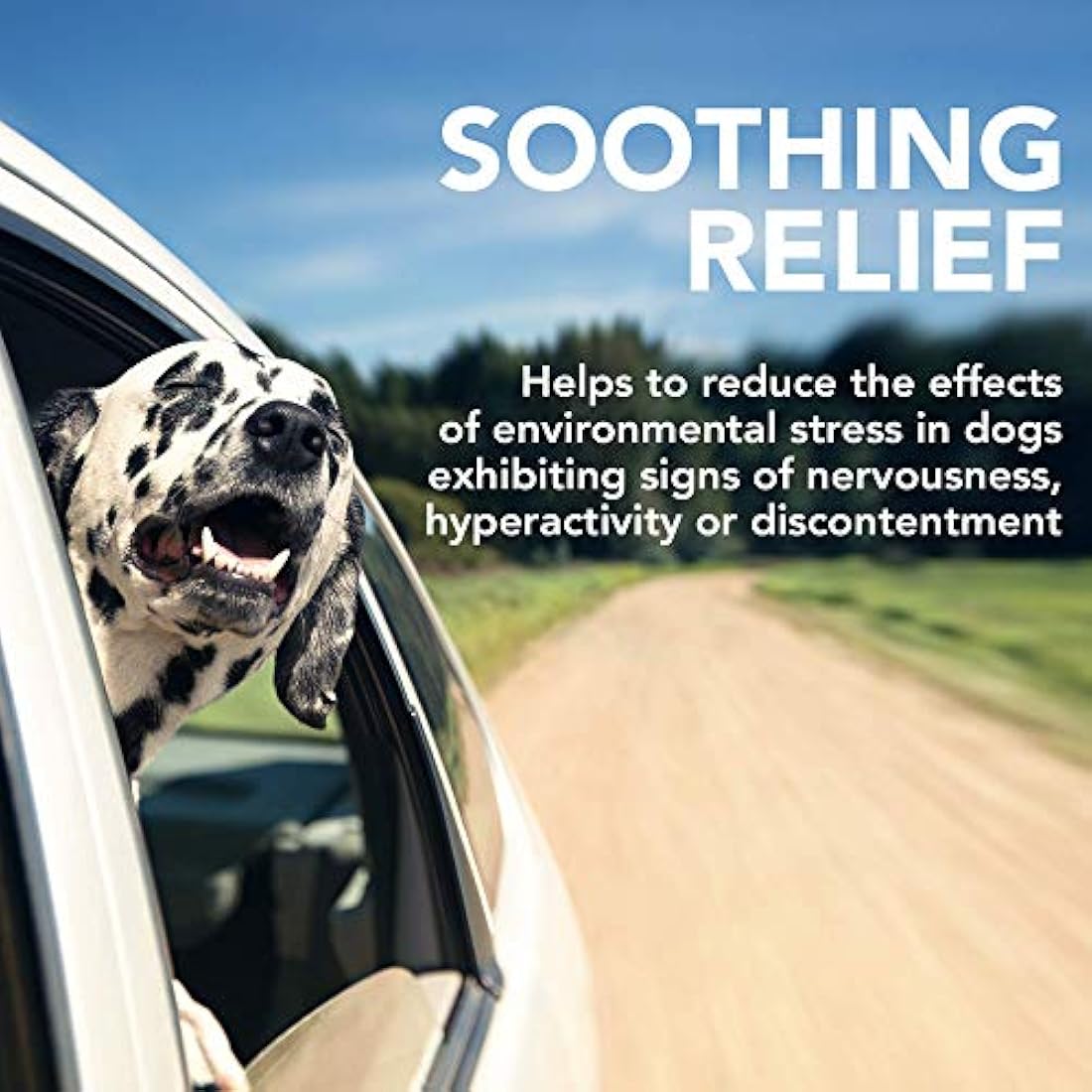 Vet's Best Comfort Calm Calming Dog Supplements | Dog Calming Aid | Promotes Relaxation and Balanced Behaviour | 60 Chewable Tablets by The Hackers Market | The Hackers Market