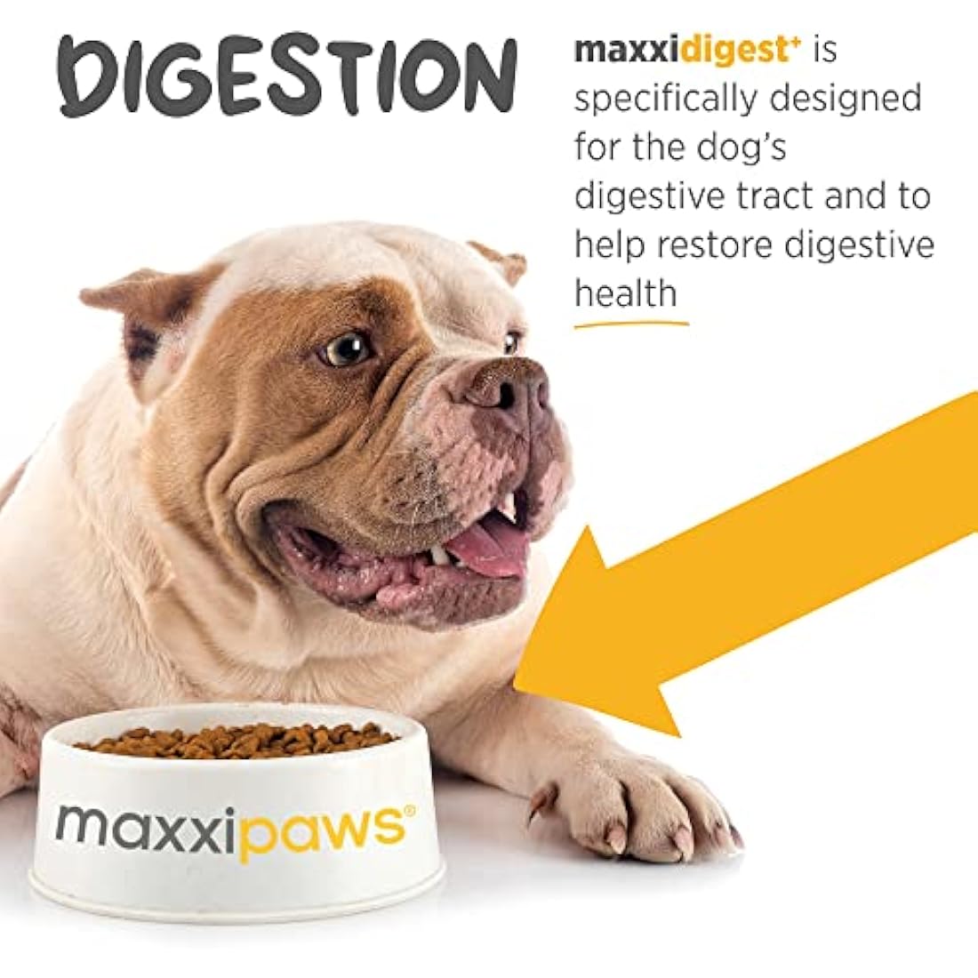 maxxipaws maxxidigest+ Probiotic & Prebiotic Powder Supplement - Digestive & Immune Support for Dogs, 200g by The Hackers Market | The Hackers Market