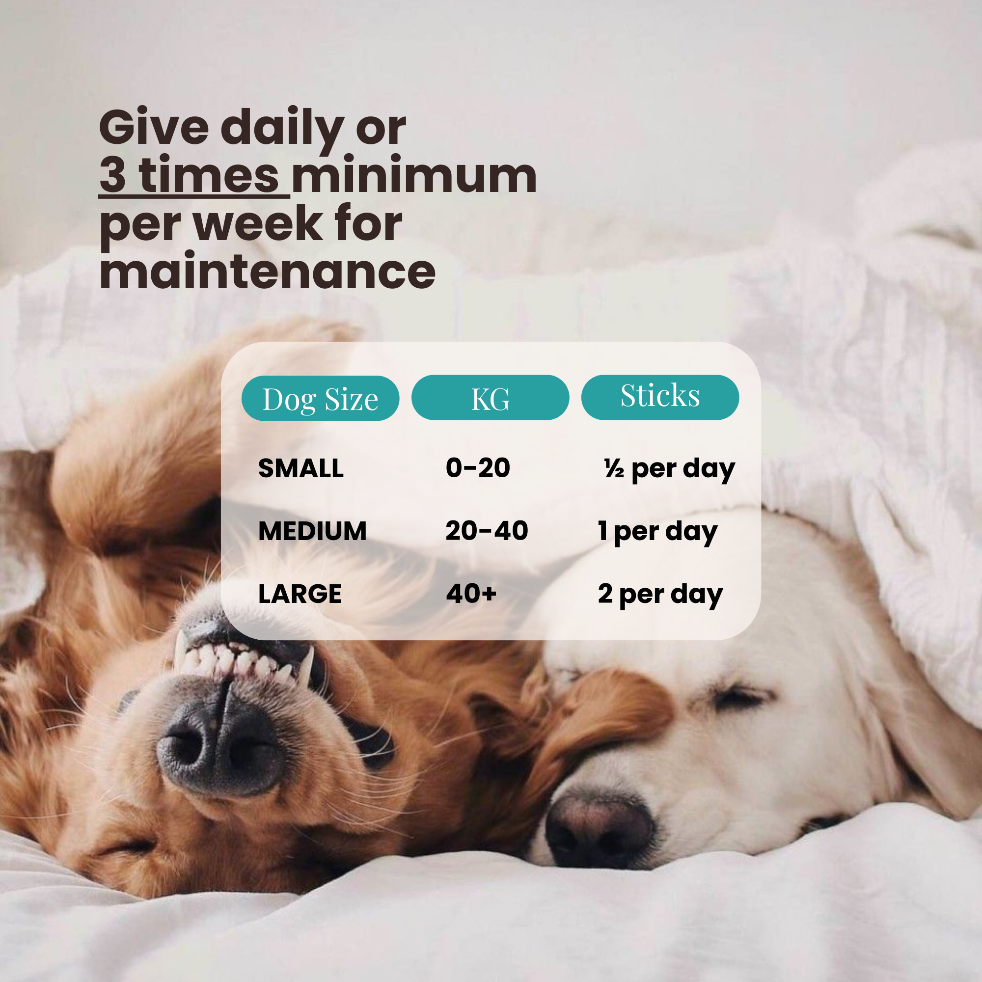 The Wellness Collection (7 Sticks Pouch) by Pawer Water | The Hackers Market