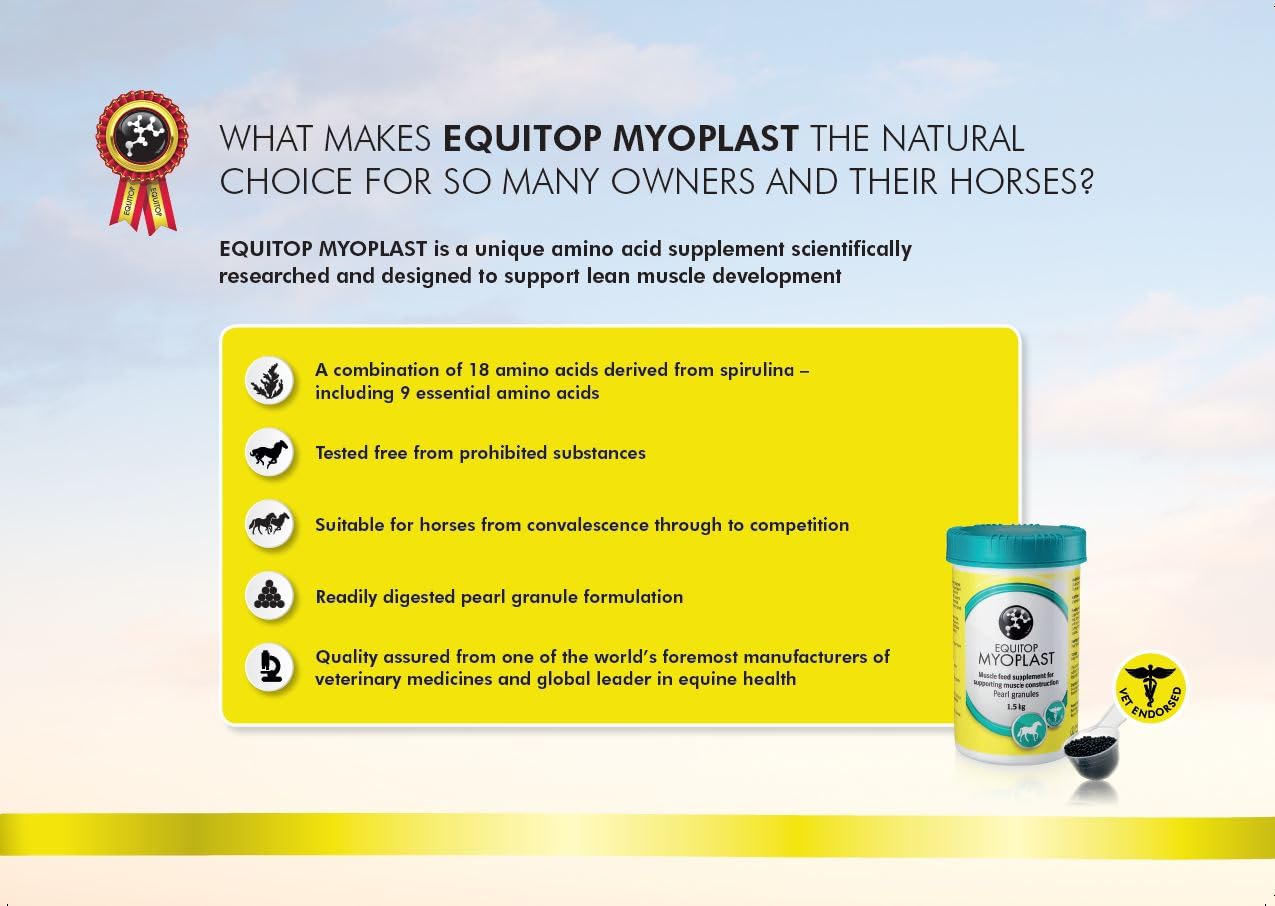 EQUITOP? Myoplast - Muscle Supplement for Horses, 1.5 kg by Equitop | The Hackers Market