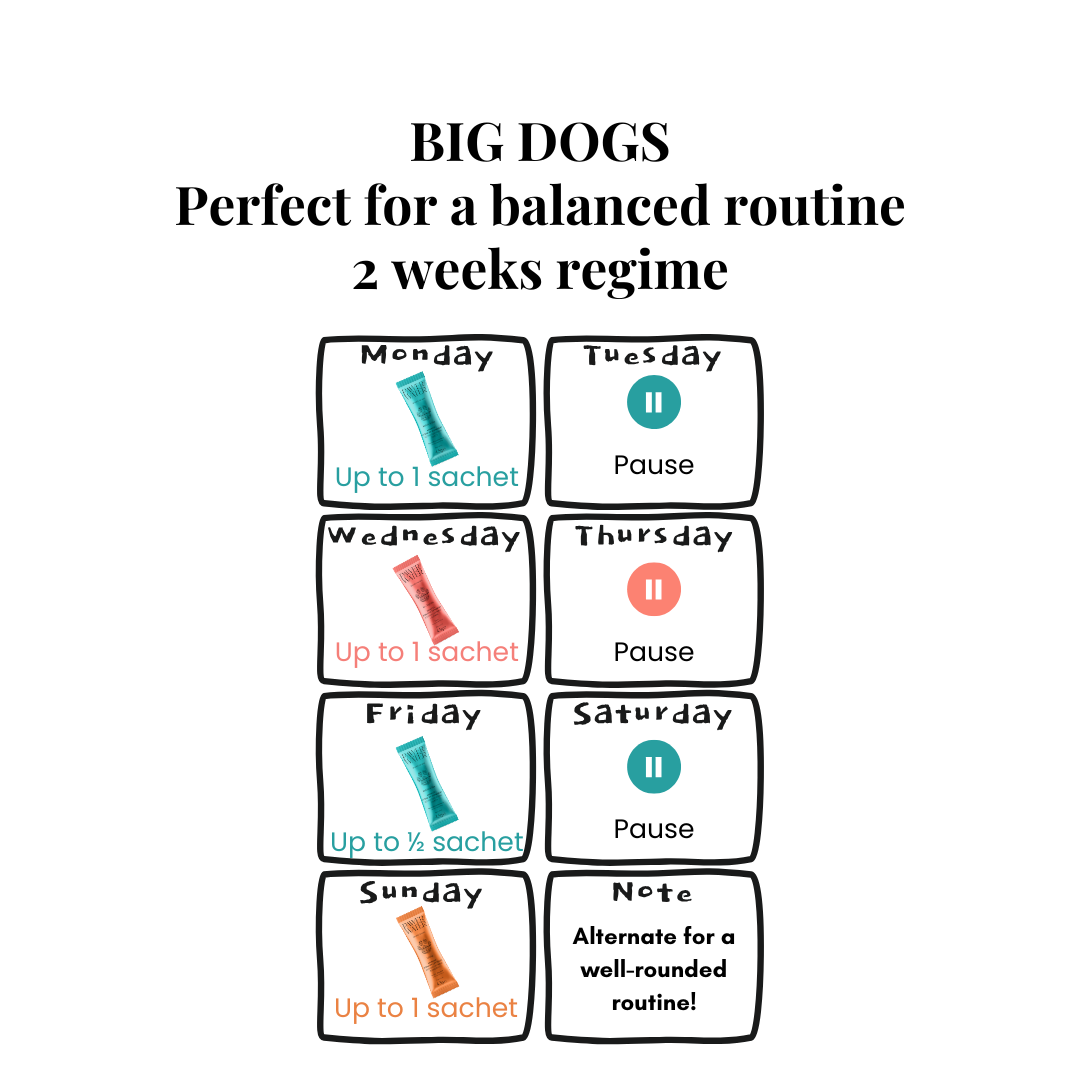 The Wellness Collection (7 Sticks Pouch) by Pawer Water | The Hackers Market