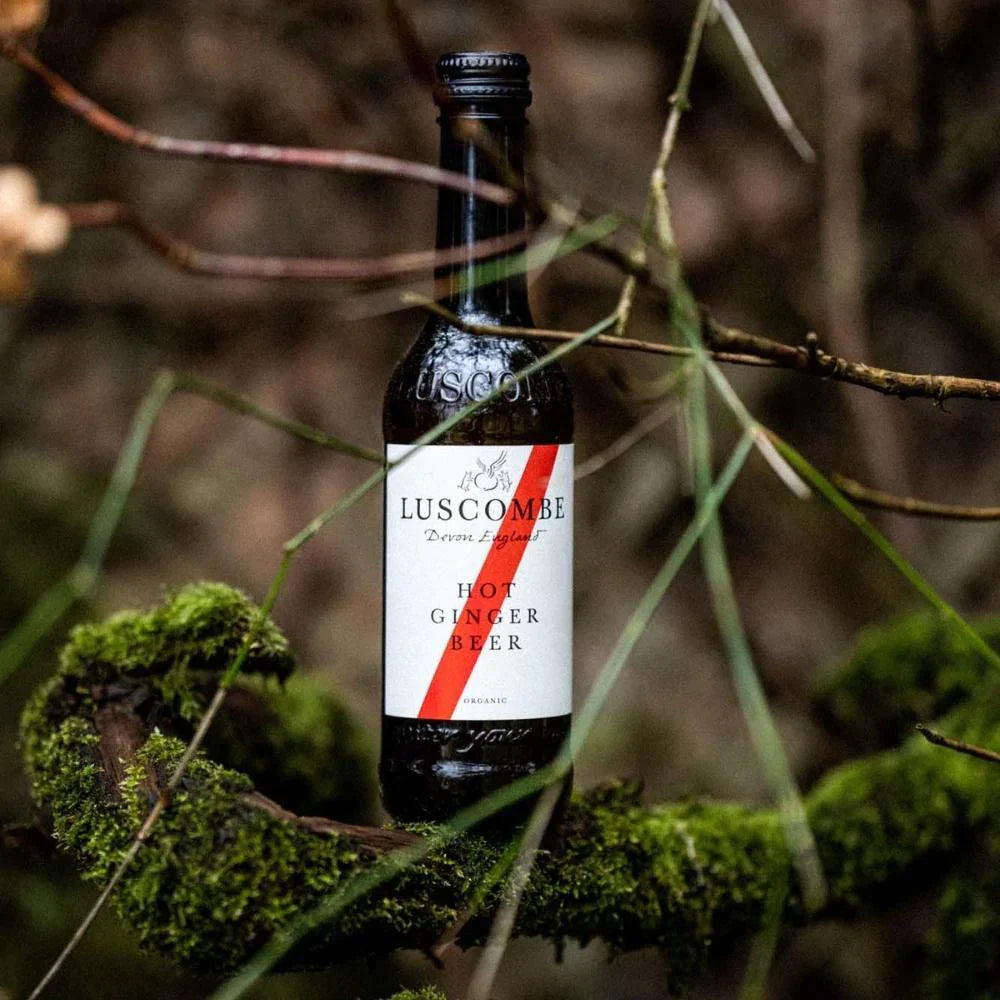 Hot Ginger Beer 270ml - Organic - Luscombe by Luscombe | The Hackers Market
